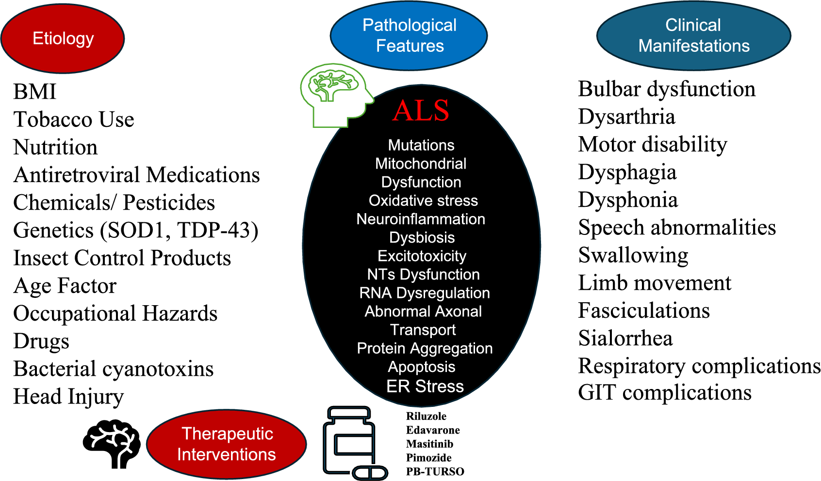 Dysbiosis and Neurodegeneration in ALS: Unraveling the Gut–Brain Axis