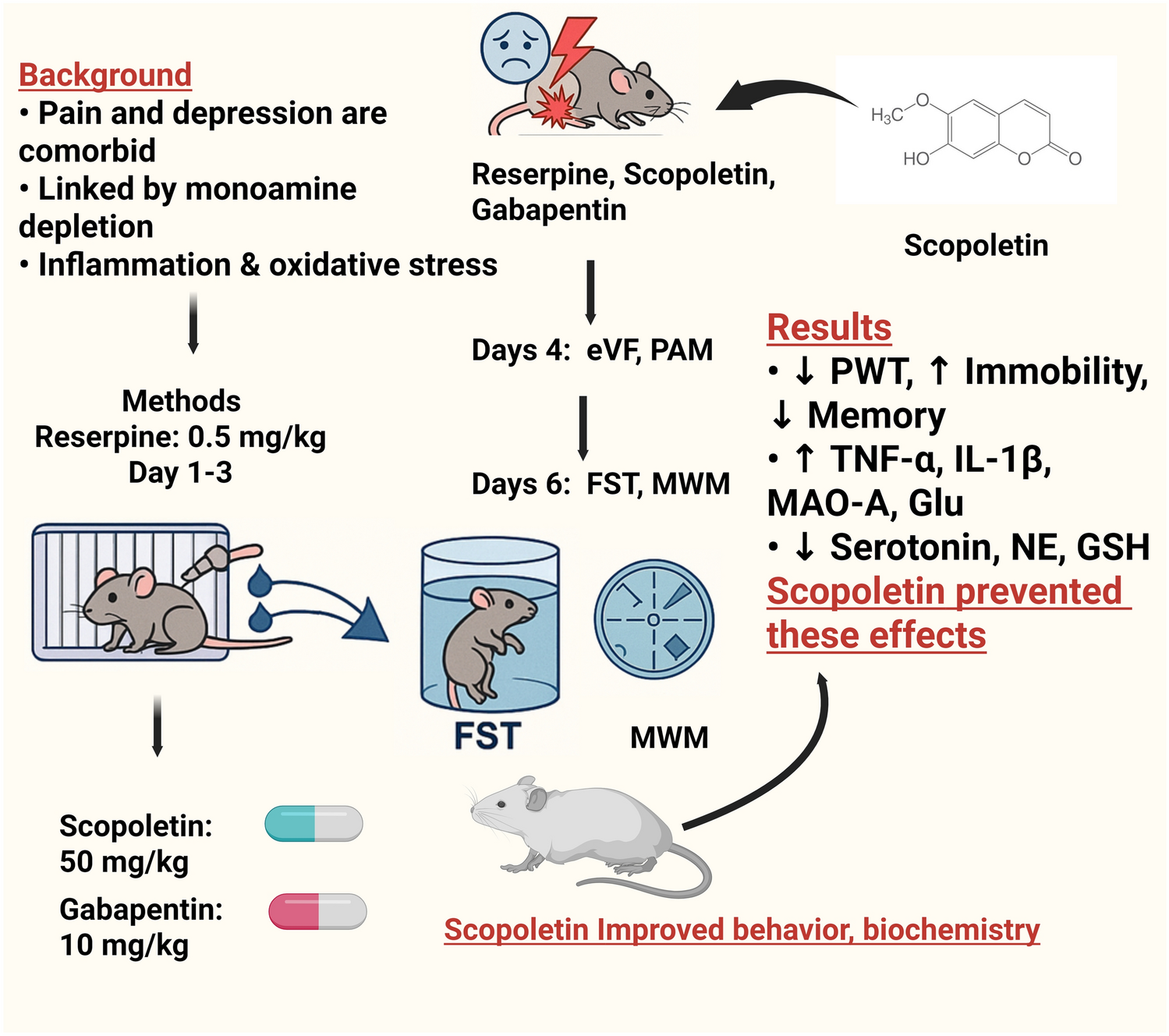 Scopoletin Attenuates Reserpine-Induced Pain-Depression Dyad in Mice via Modulation of Inflammation, Oxidative Stress, and Monoaminergic Pathways