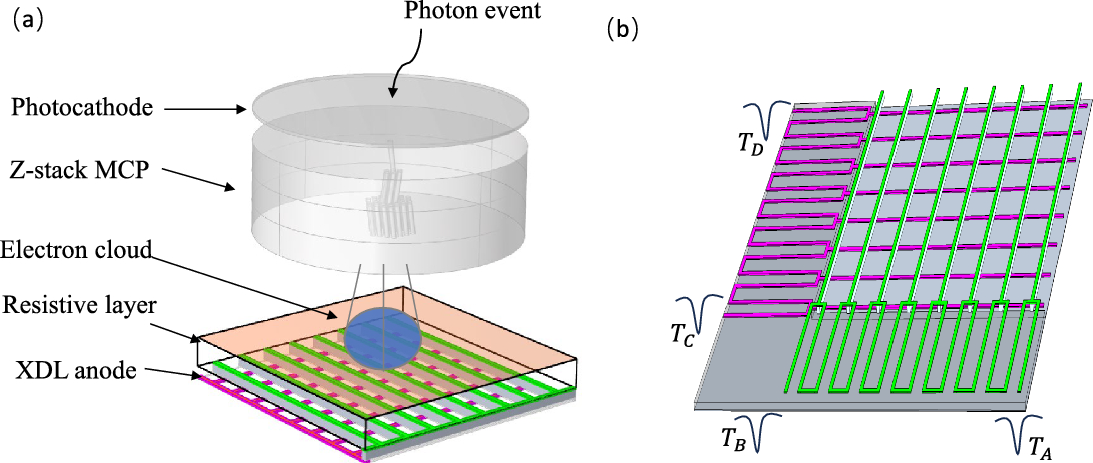 Design and performance of photon counting detector with charge coupling delay-line readout