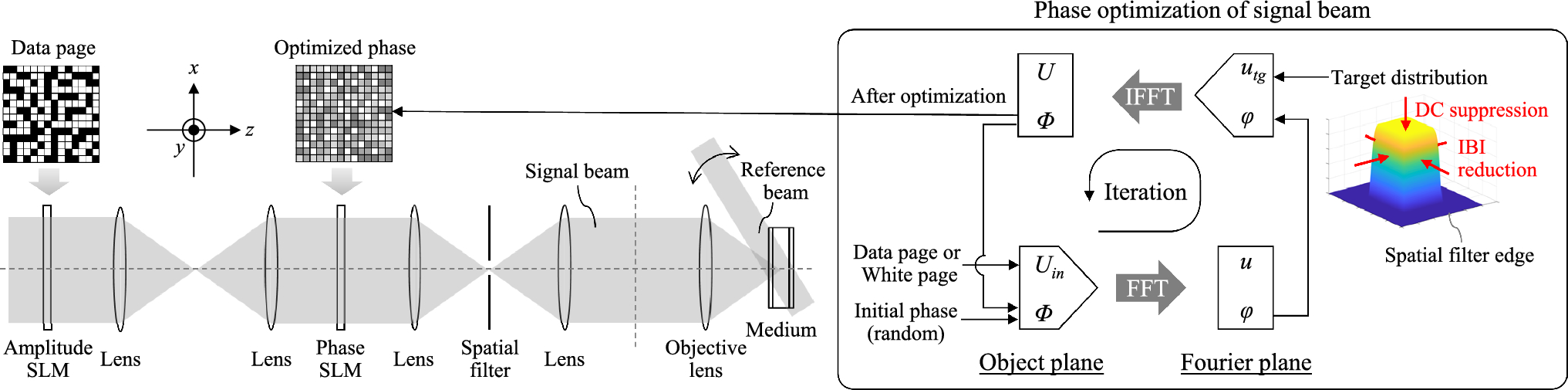 Robust multibook recording with signal beam phase optimization based on Gerchberg–Saxton algorithm for holographic data storage