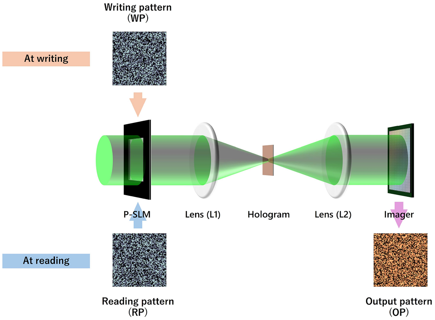 Numerical simulations on self-referential holographic data storage with built-in denoising function by self-referential holographic deep neural network