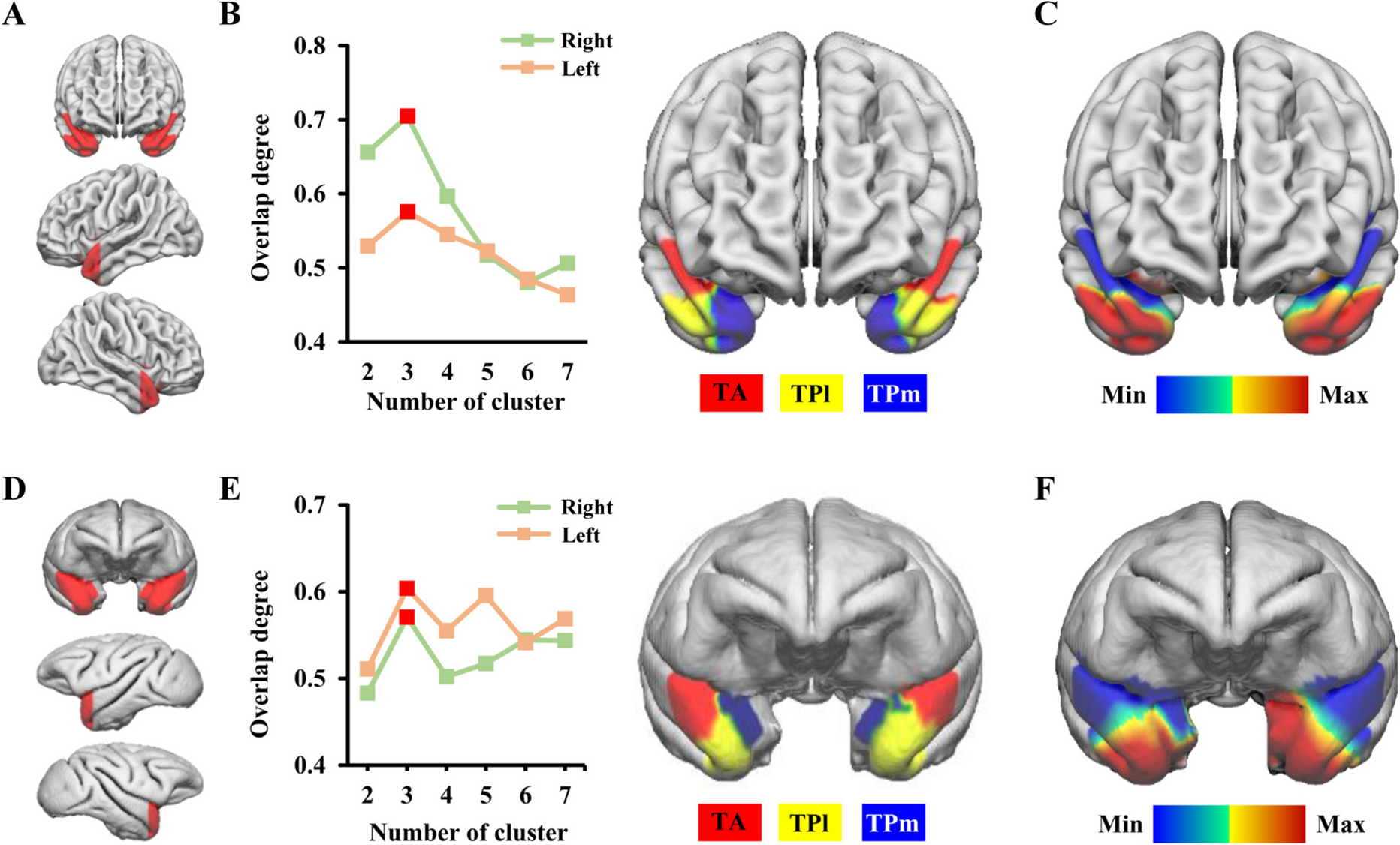 Mapping the Cross-species Brain Connectivity Atlas and Hemispheric Asymmetry of the Temporal Pole in Humans and Macaques