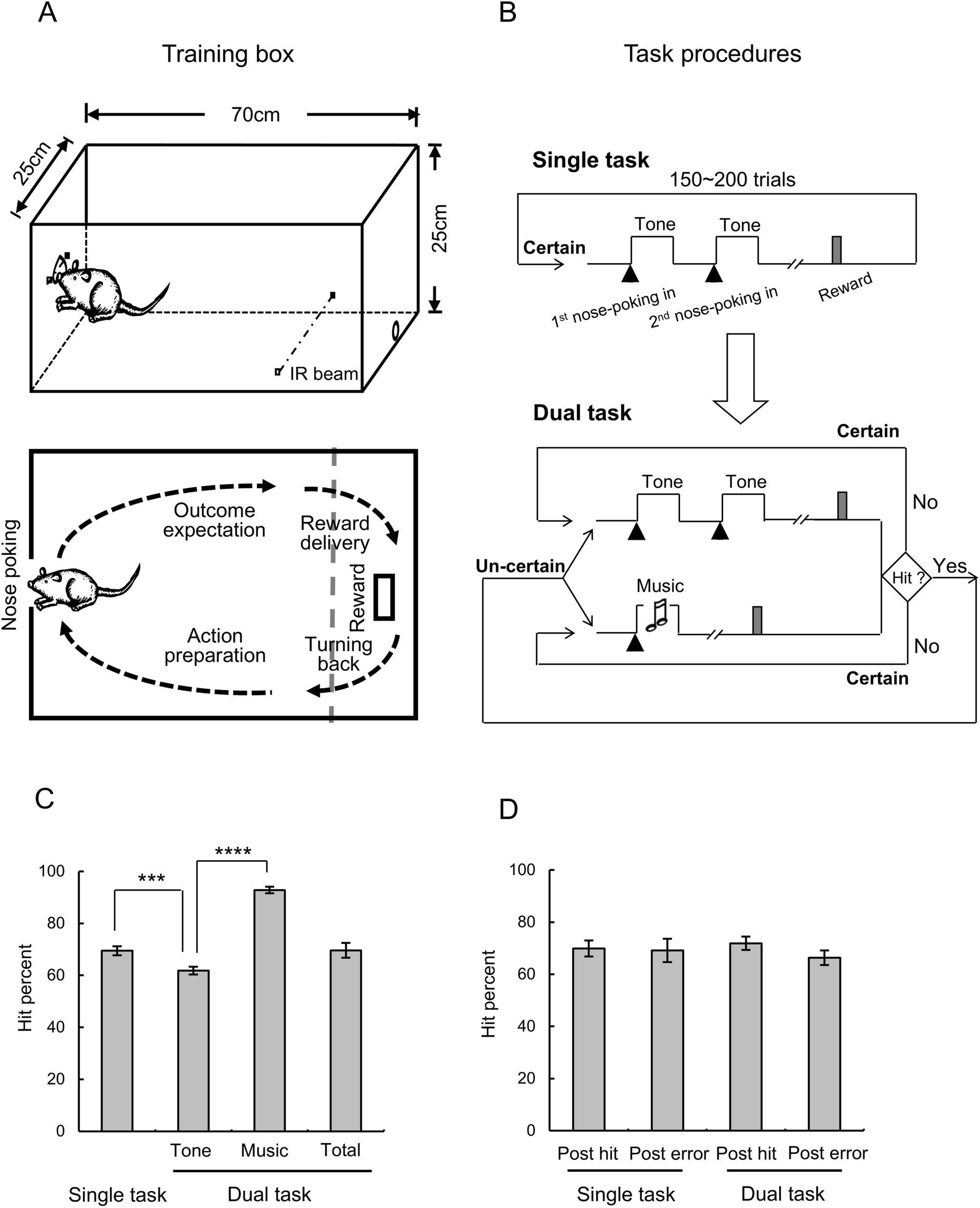 Pre-action Neuronal Encoding of Task Situation Uncertainty in the Medial Prefrontal Cortex of Rats