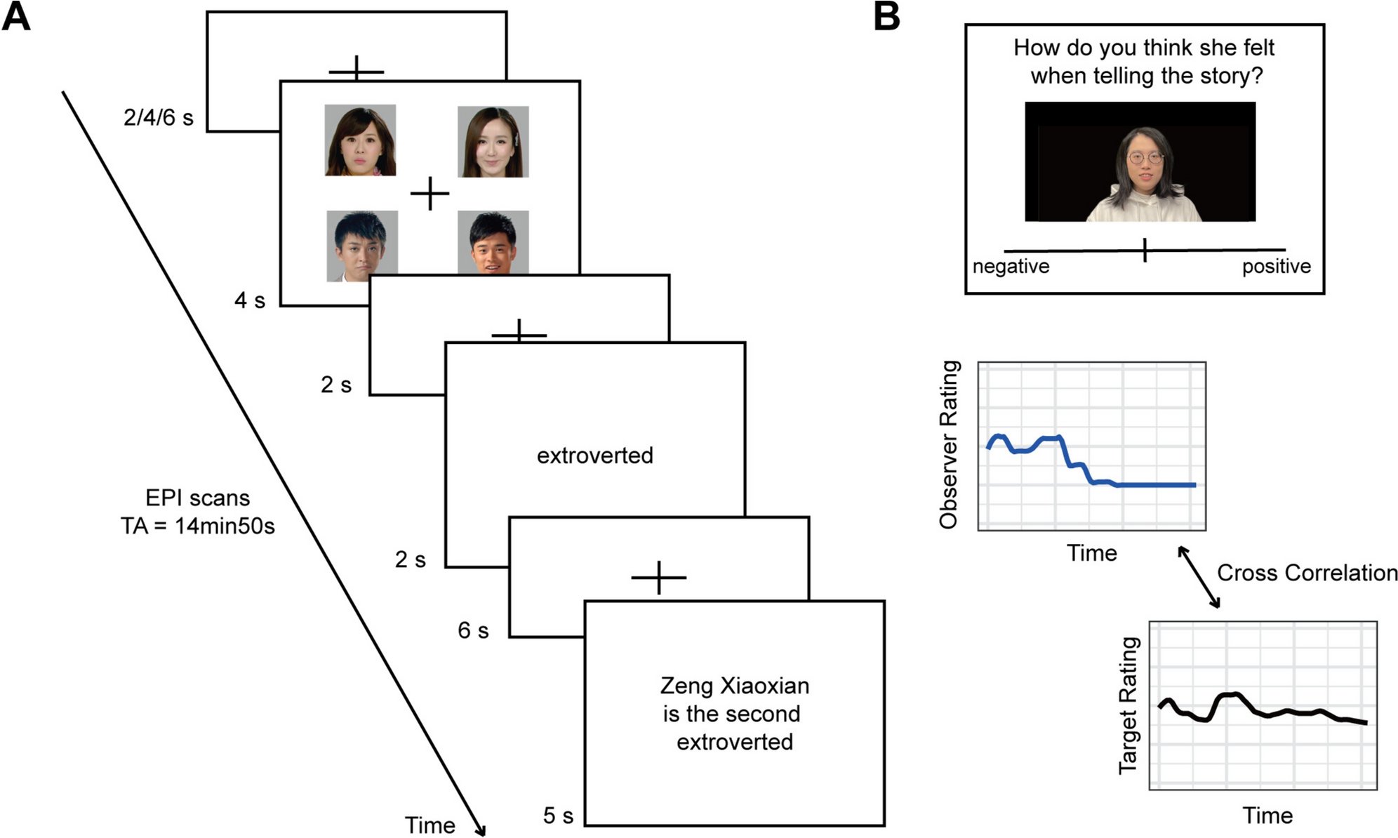 Dissecting Social Working Memory: Neural and Behavioral Evidence for Externally and Internally Oriented Components