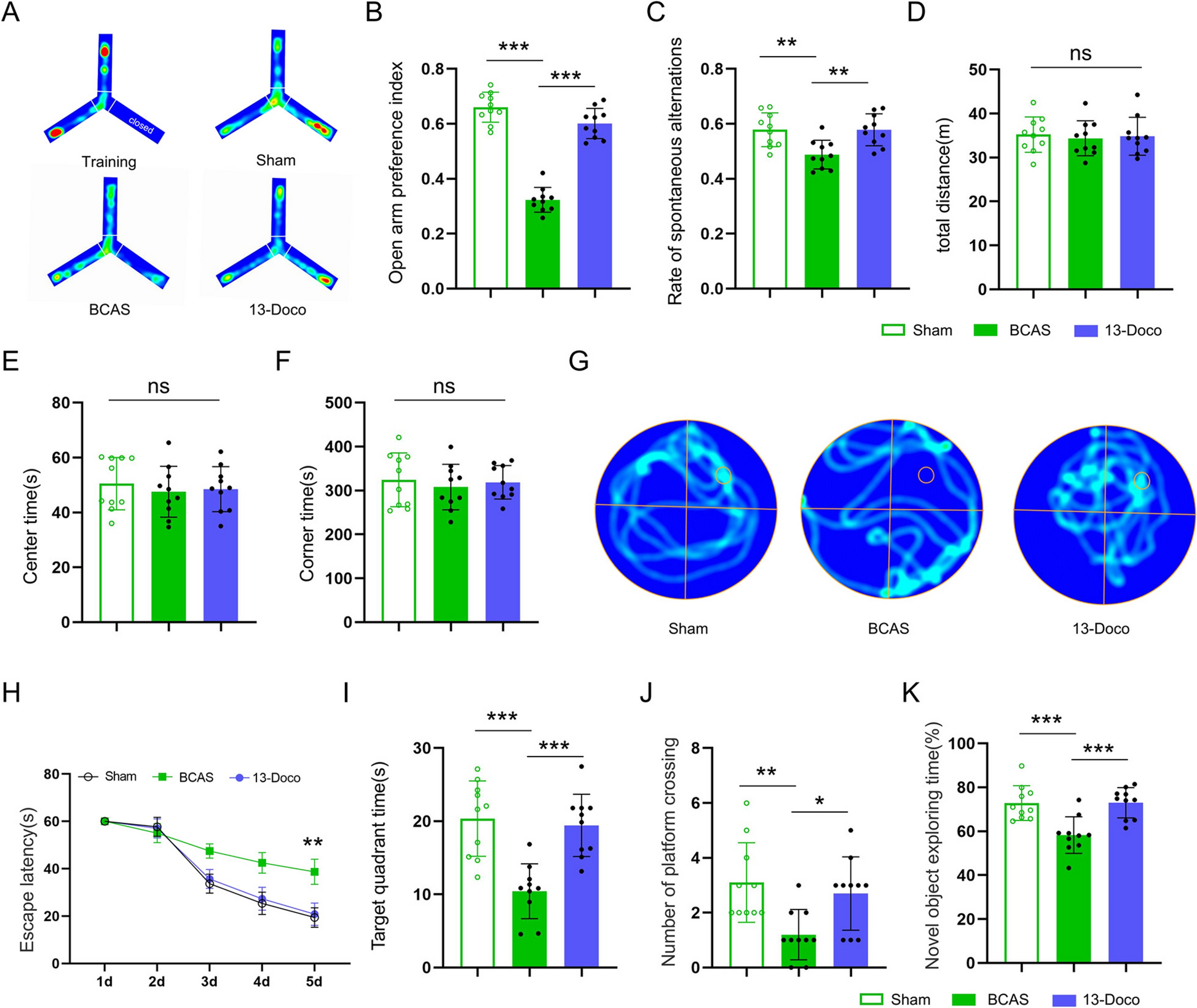 13-Docosenamide Enhances Oligodendrocyte Precursor Cell Differentiation  USP33-Mediated Deubiquitination of CNR1 in Chronic Cerebral Hypoperfusion
