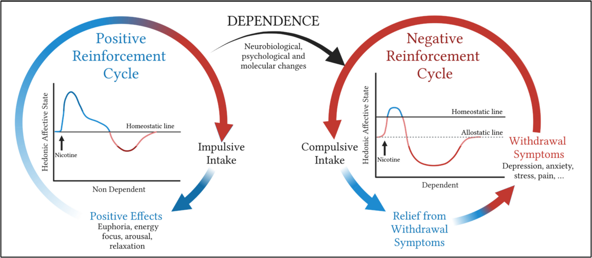 The influence of stress and social defeat on neurobiological reinforcement mechanisms across reward to withdrawal in nicotine addiction