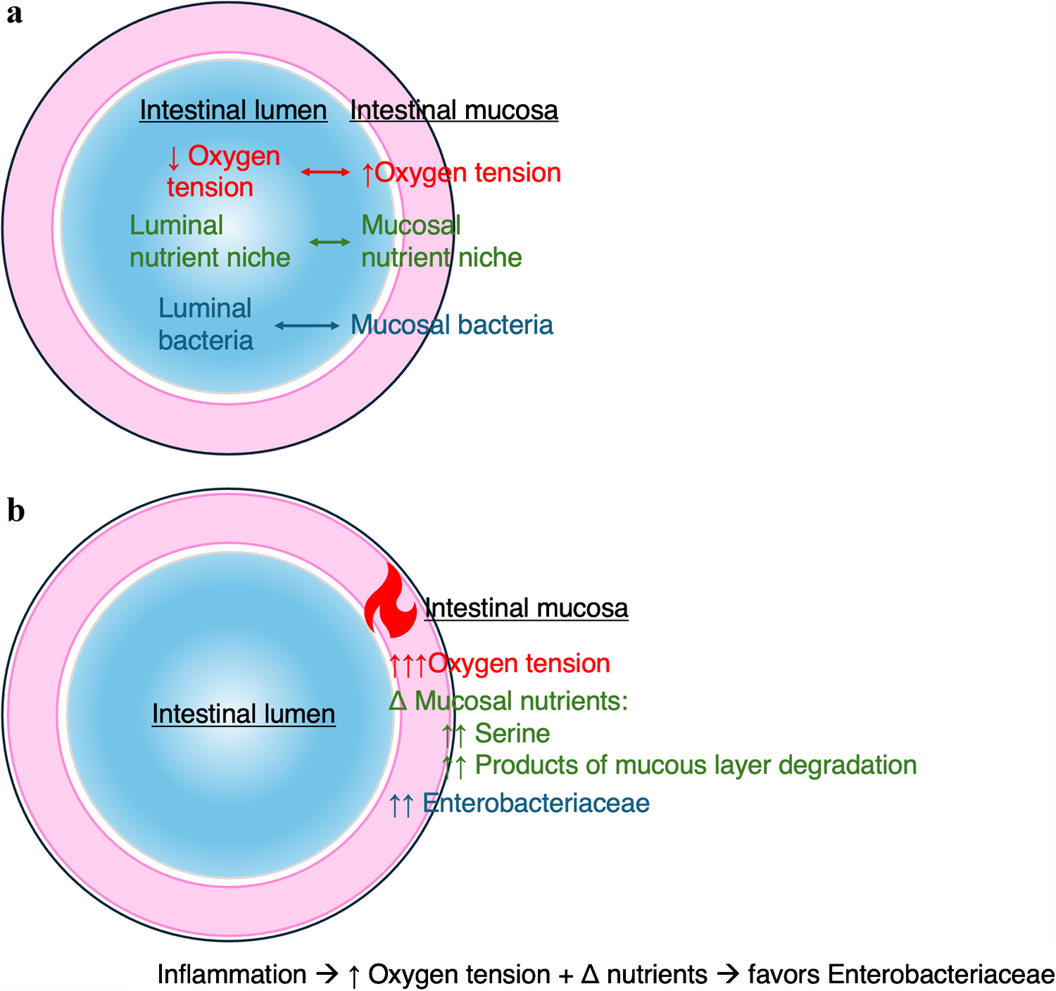 The role of gastrointestinal PCR in inflammatory bowel disease flares: A double-edged sword or a diagnostic breakthrough?