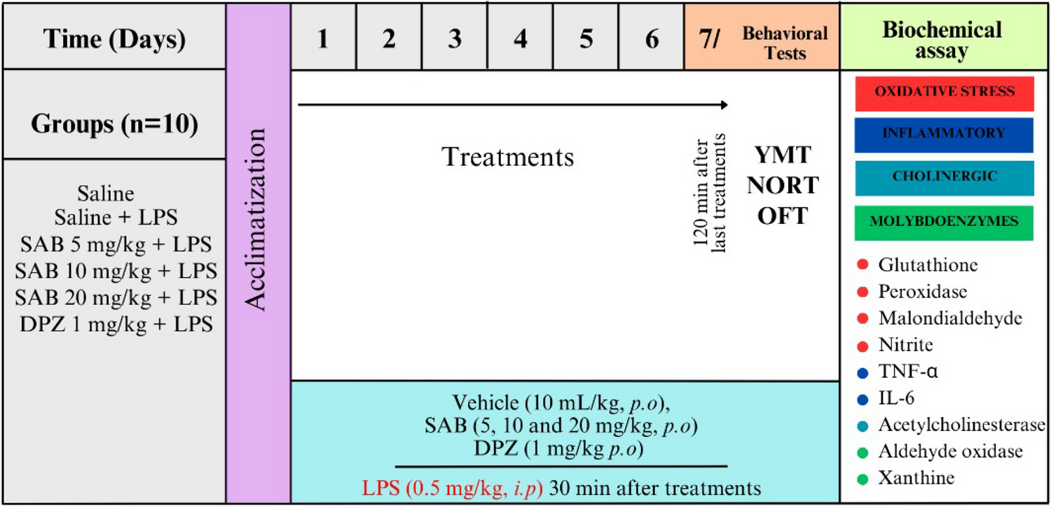 Sabinene Inhibits Lipopolysaccharide-Induced Memory Decline by Enhancing Cholinergic Function, Decreasing Molybdenum Enzymes, and Suppressing Oxidative Stress and Neuroinflammation