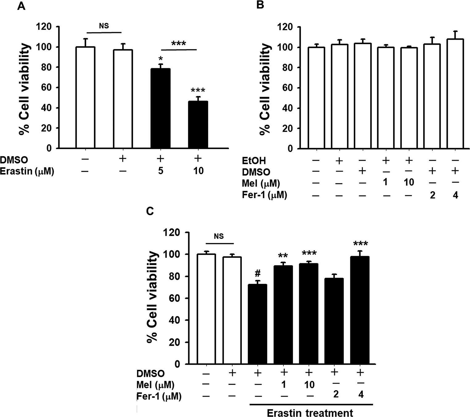 Melatonin Alleviates Erastin-Induced Cell Death by Inhibiting Ferroptosis and Amyloid Precursor Protein Processing in Neuronal Cell Lines