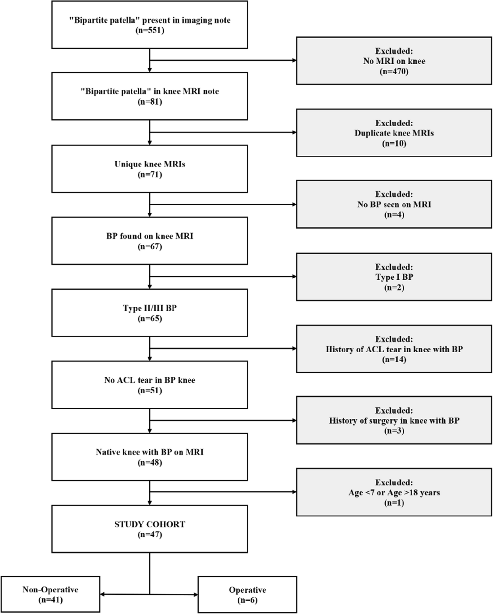 Bipartite patella revisited: the not so asymptomatic accessory ossicle