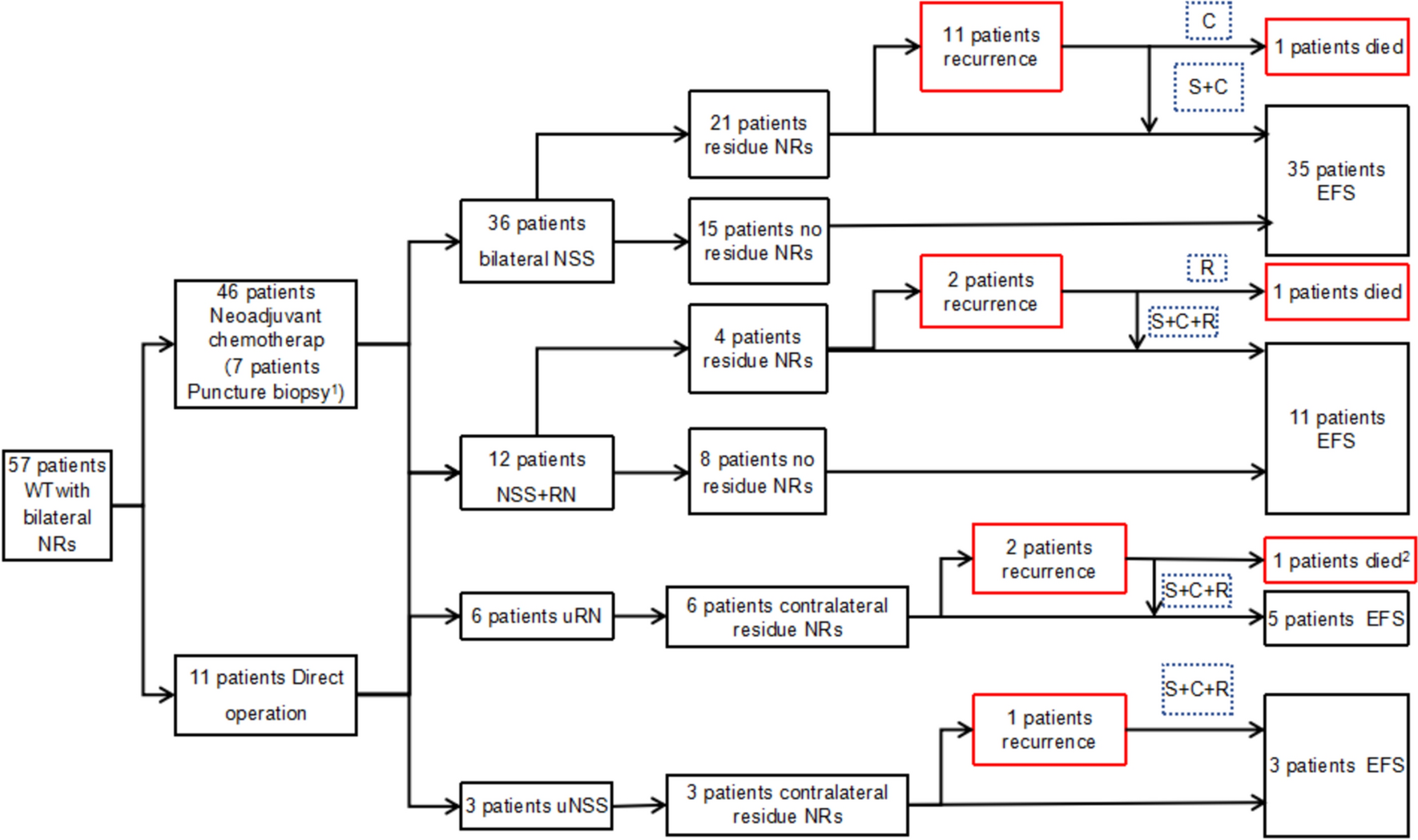 Residual nephrogenic rests affect the long-term prognosis of Wilms tumor with bilateral nephrogenic rests