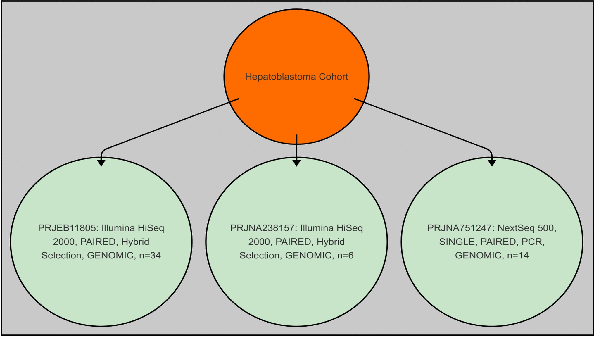 Novel CTNNB1 gene mutations reveal critical pathogenic mechanisms in pediatric hepatoblastoma