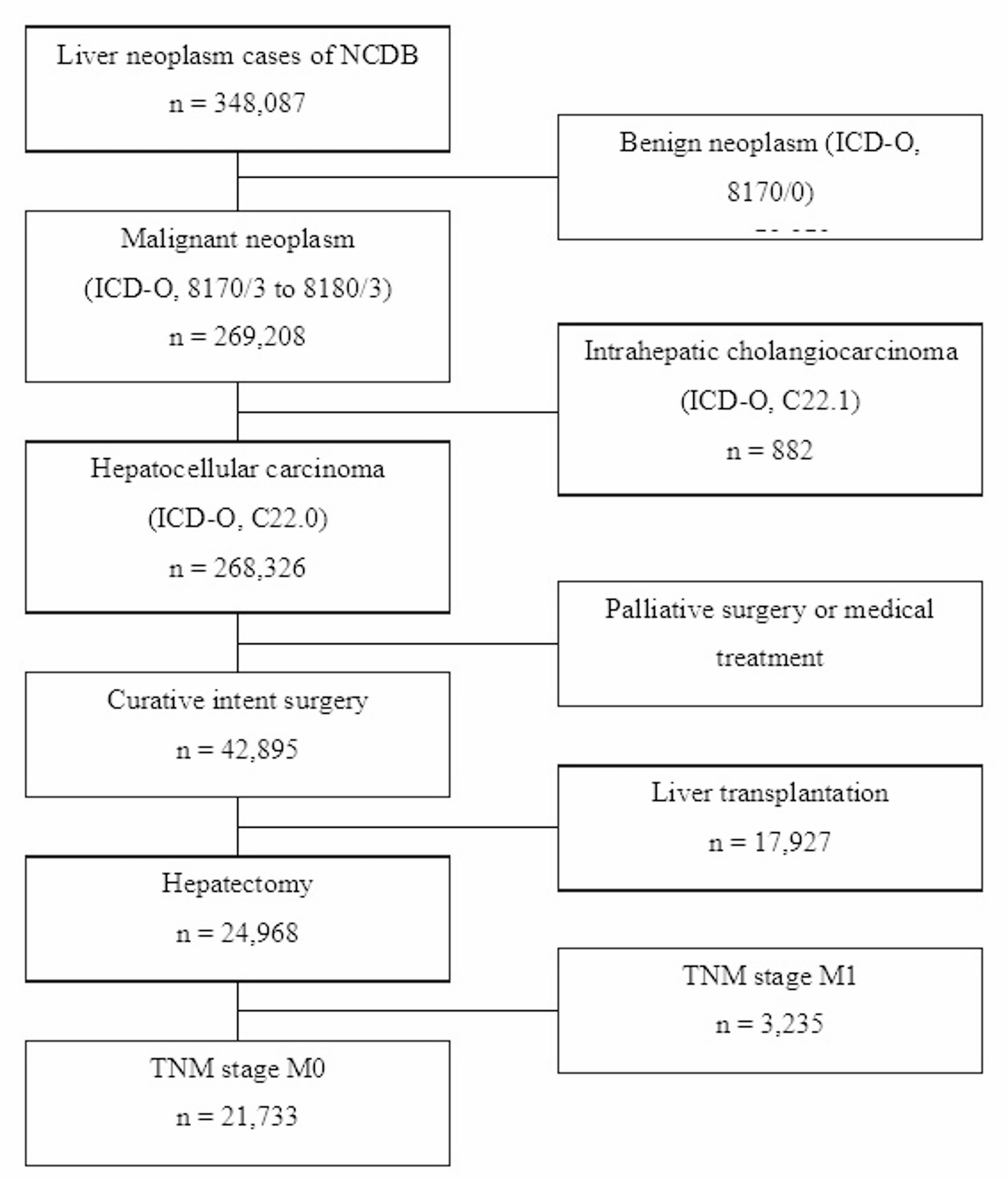 Correlation between clinical and pathological nodal status in hepatocellular carcinoma: identifying risk factors for lymph node metastasis via the national cancer database