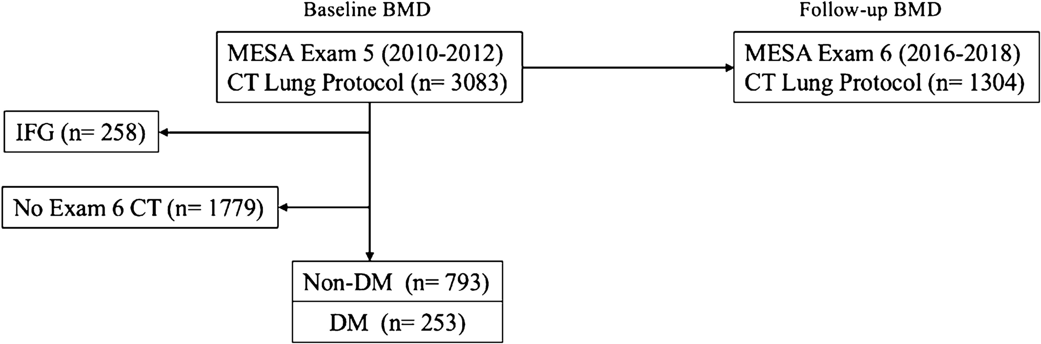 Diabetes and longitudinal changes in deep learning–derived measures of vertebral bone mineral density using conventional CT: the Multi-Ethnic Study of Atherosclerosis