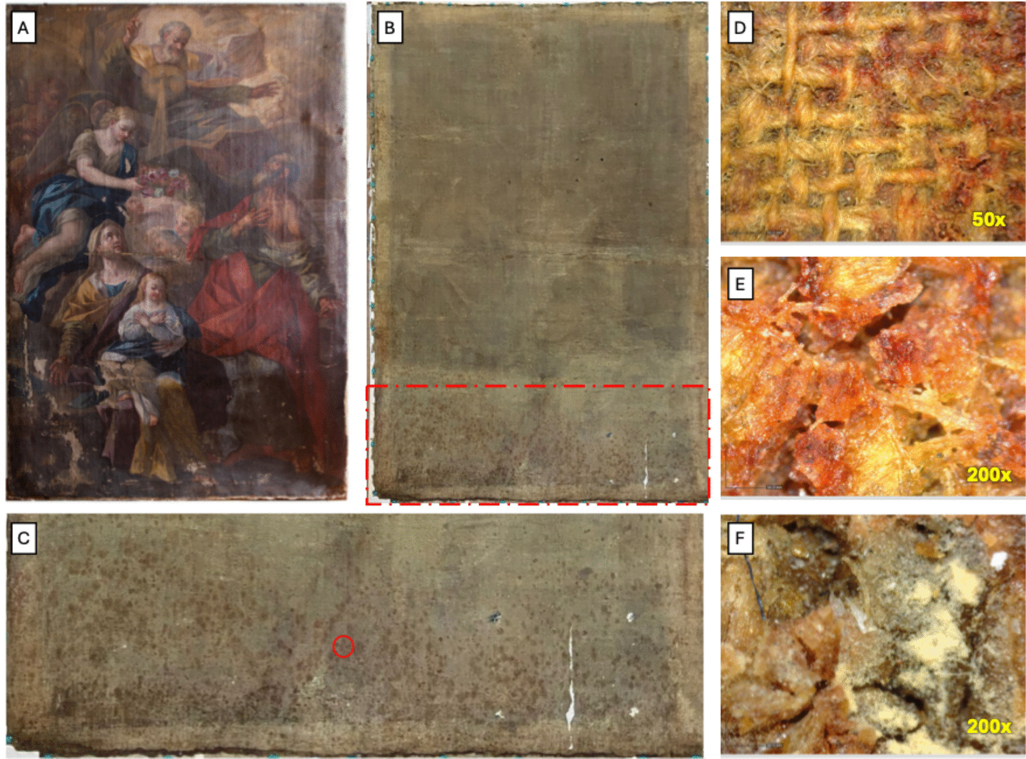 Biodeterioration of canvas paintings: microbial role and development of sustainable treatments for biocontrol