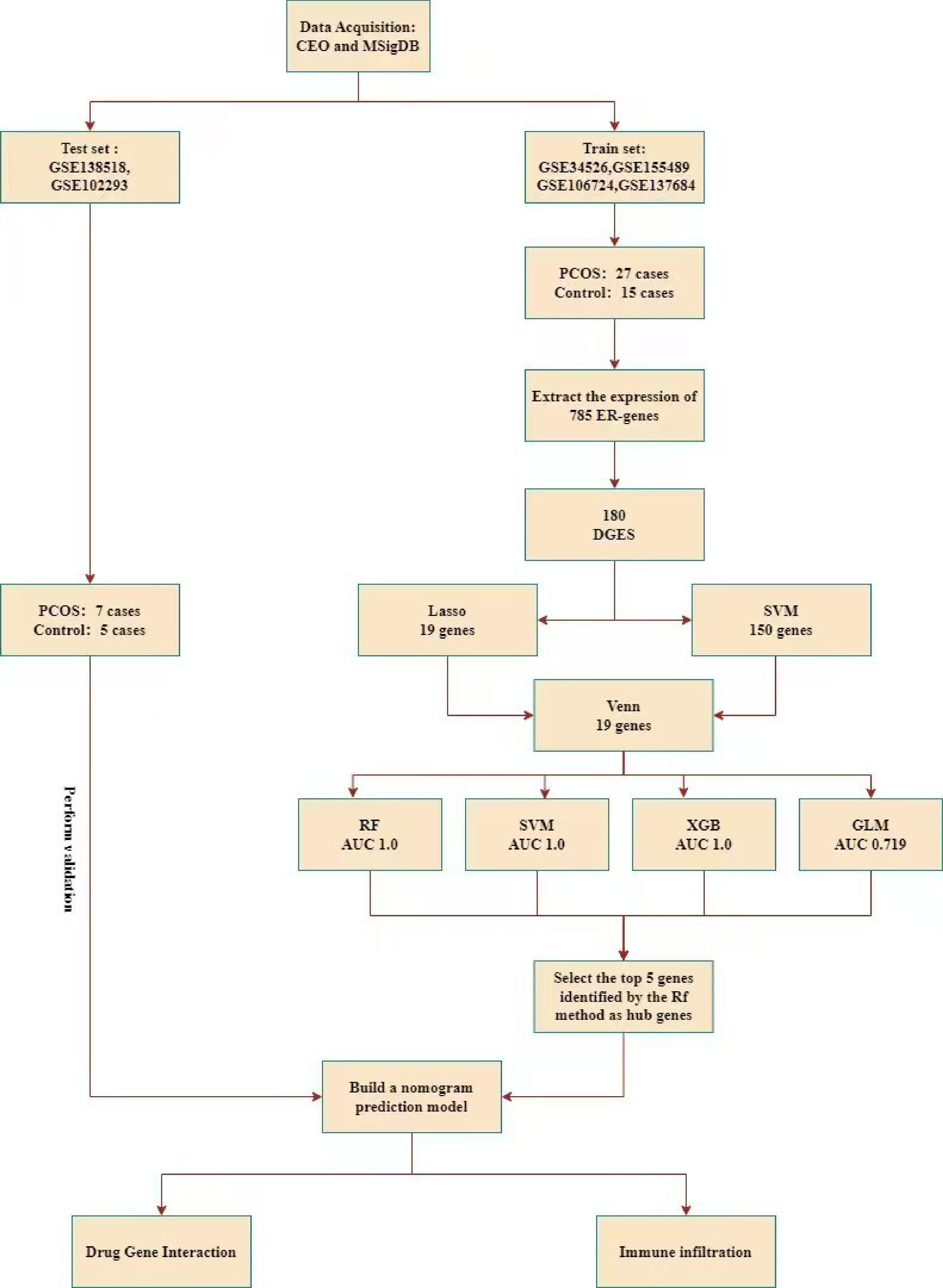The Role of Endoplasmic Reticulum Stress in Polycystic Ovary Syndrome and Exploration of Potential Therapeutic Targets