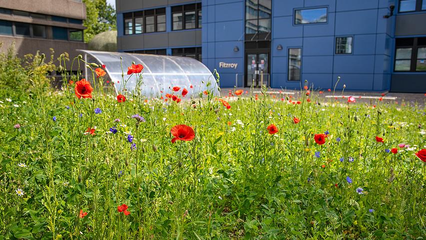 University of Plymouth shortlisted for two Green Gown Awards