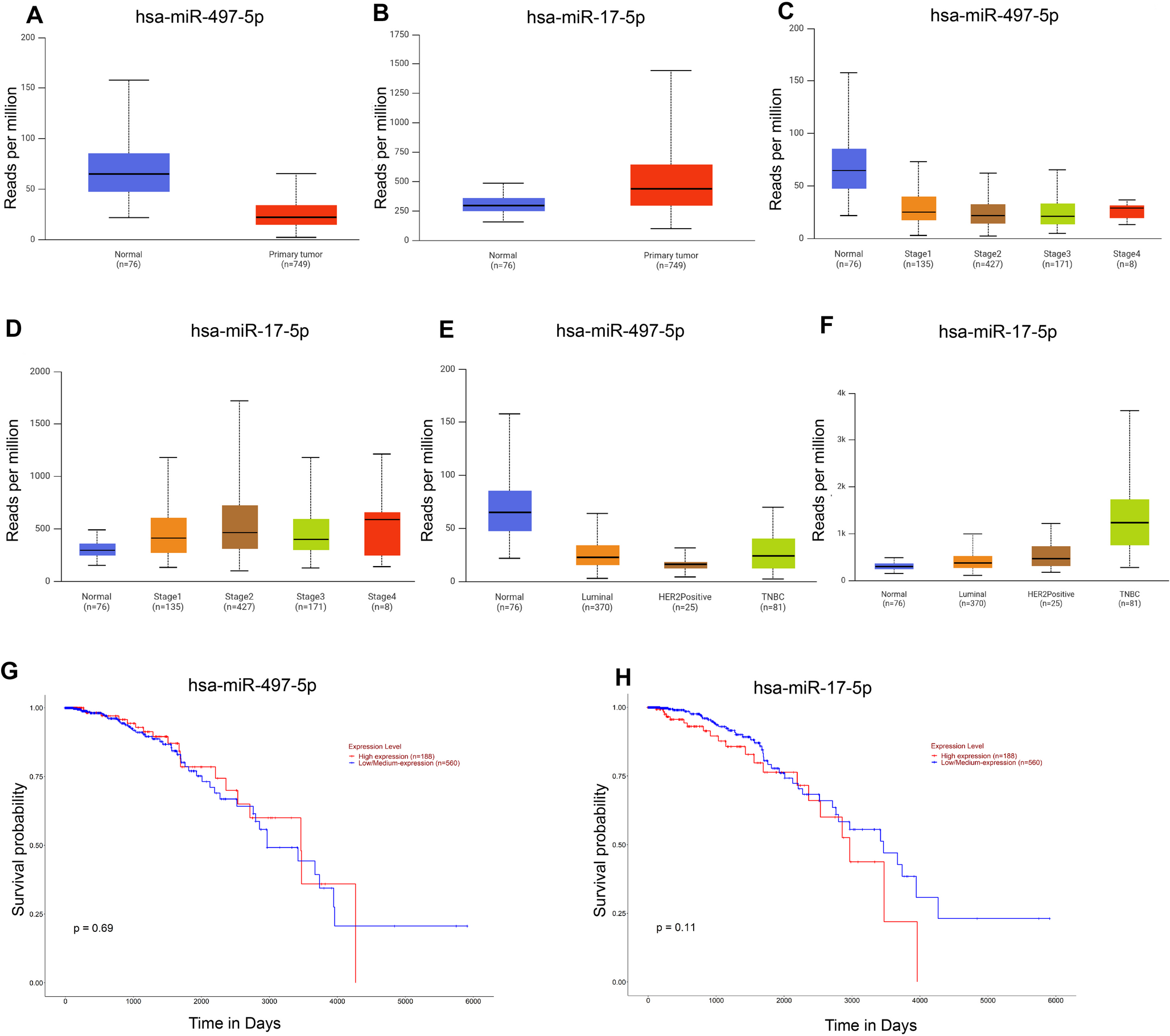 Exploring the Prognostic and Diagnostic Value of miR-497-5p and miR-17-5p in Breast Cancer: In Silico and Experimental Analysis