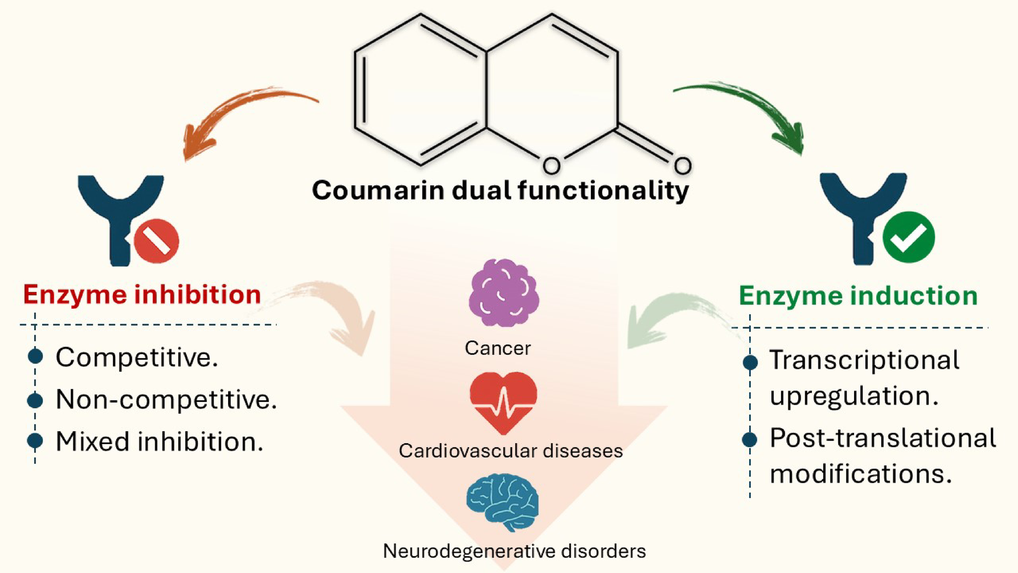 Coumarins at the Crossroads of Drug Development: Enzyme Modulation for Clinical Advances