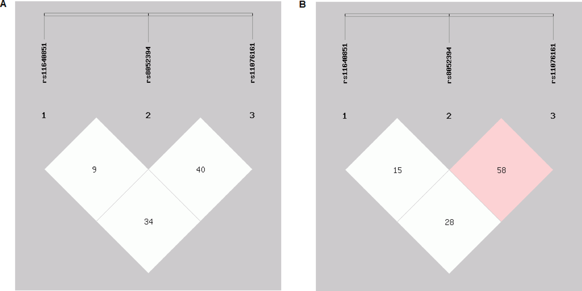 Association of  rs11640851, rs8052394 and rs11076161 Polymorphisms with the Risk of Developing Breast Cancer: A Haplotype-Based Case-Control Study and in Silico Analysis