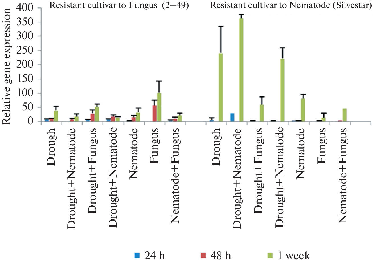 Different Expression of Three  Genes under Simultaneous Biotic and Abiotic Stresses in the Root of Wheat