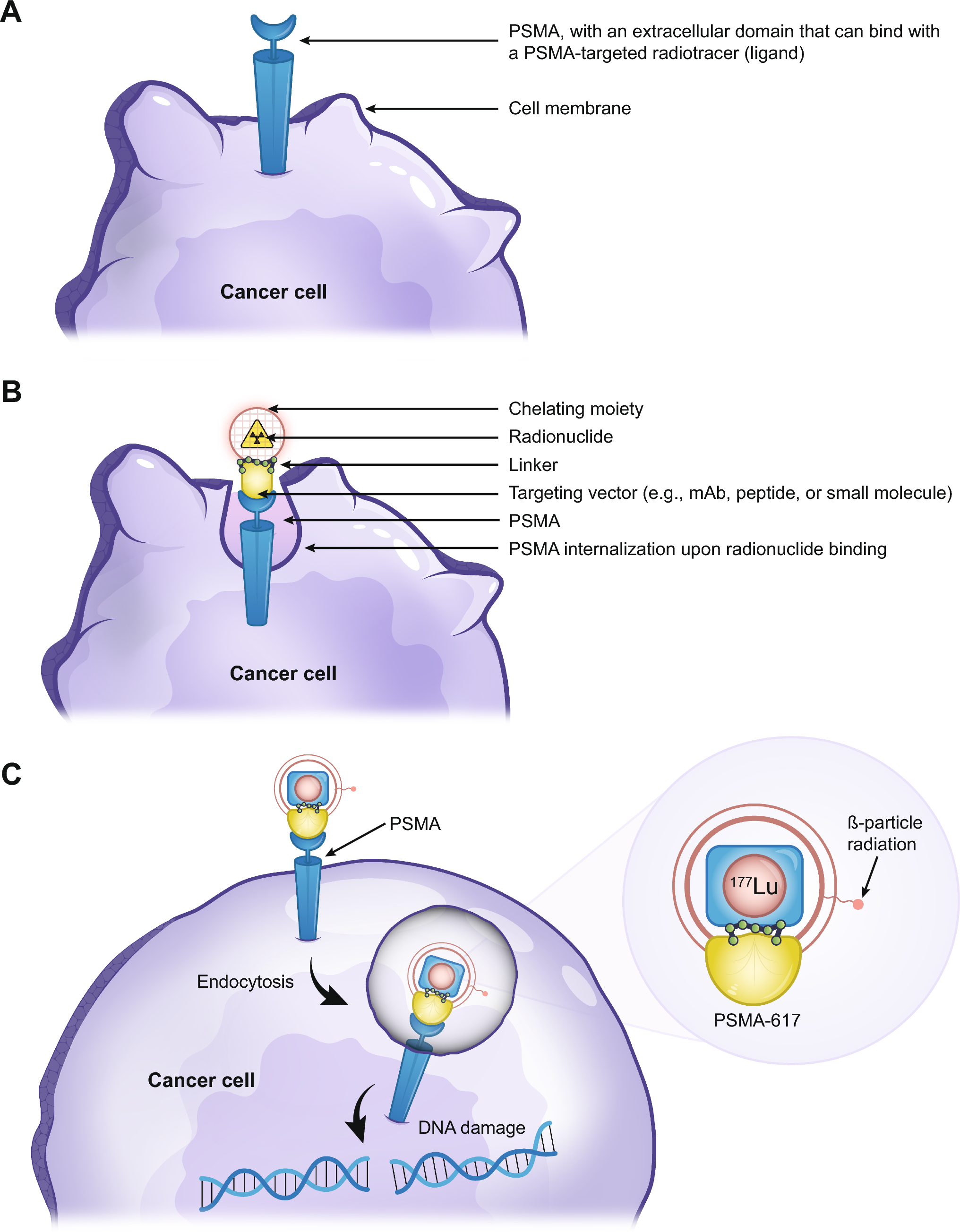 PSMA PET Imaging in the Management of Patients with Metastatic Castration-Resistant Prostate Cancer Treated with Radioligand Therapy