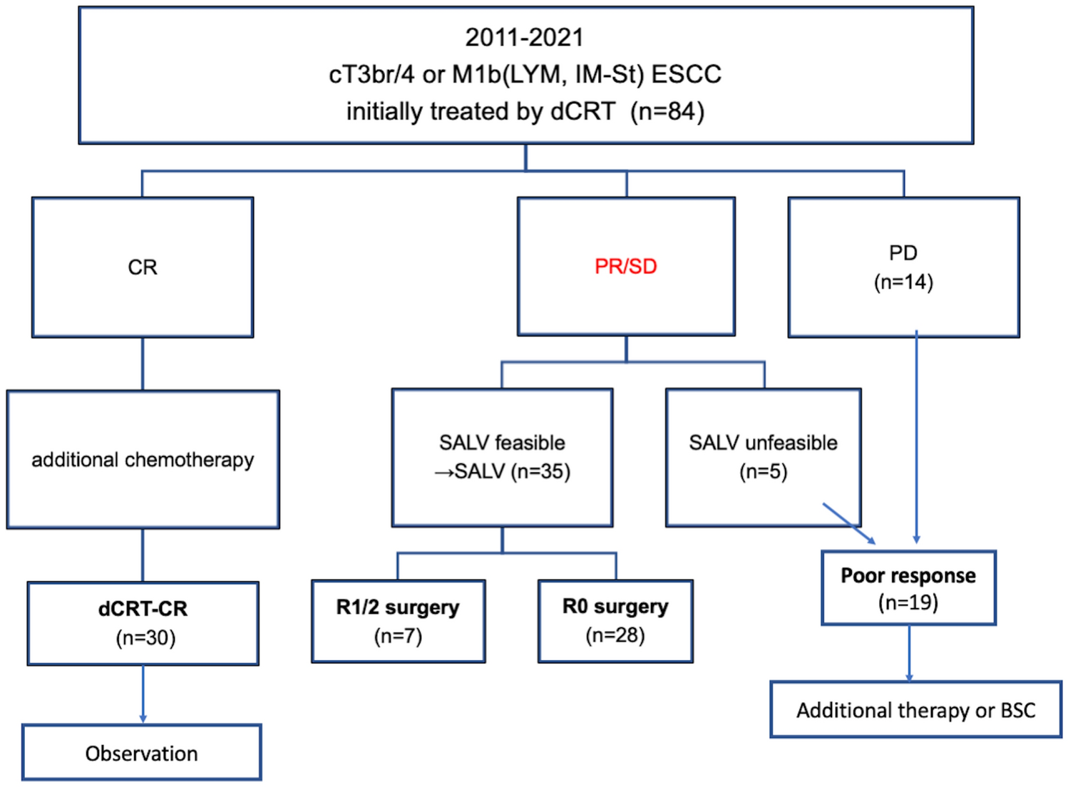 Outcomes of patients with clinical stage IV esophageal squamous cell carcinoma treated initially with definitive chemoradiotherapy: a single-institution observational study and literature review