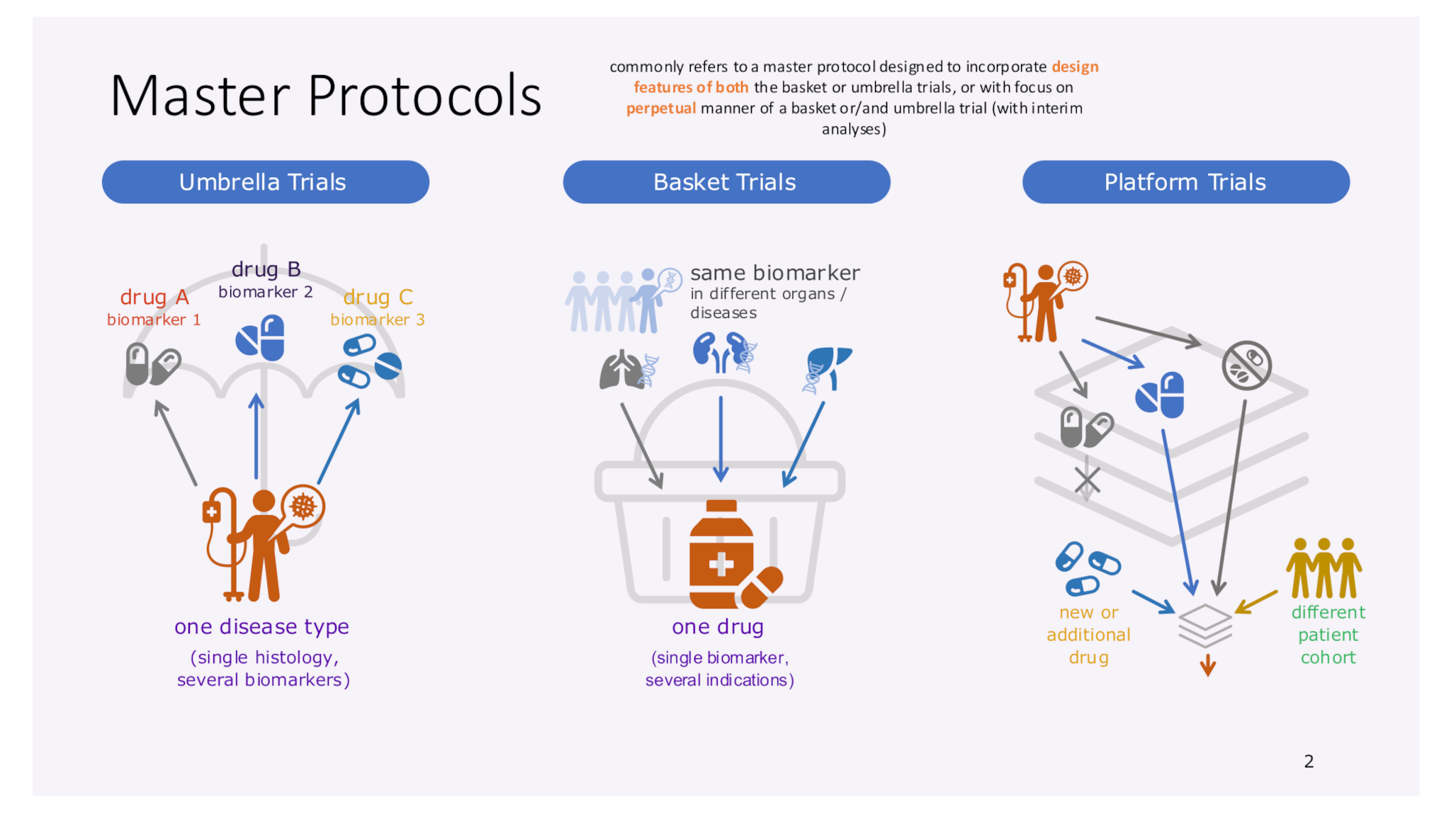 Master Protocols: A Promising Approach to Accelerate Drug Development in Rare Kidney Diseases