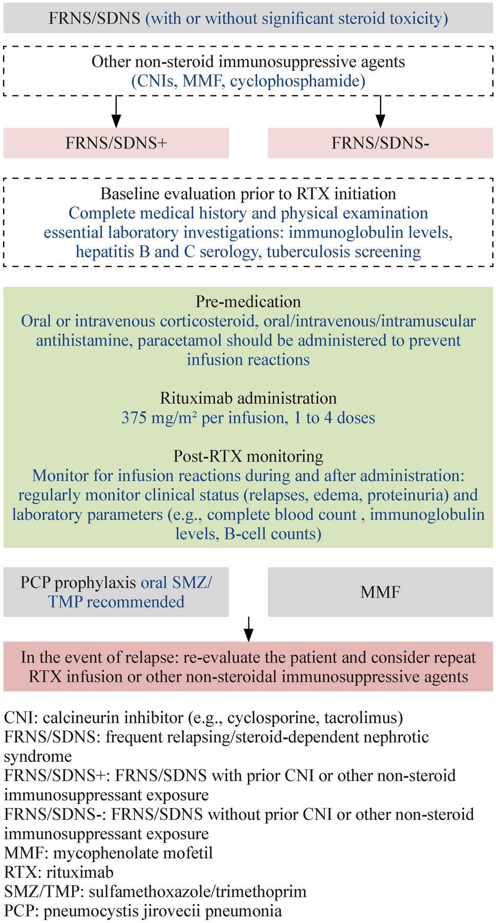 Clinical practice guidelines for rituximab treatment in children with steroid-sensitive nephrotic syndrome