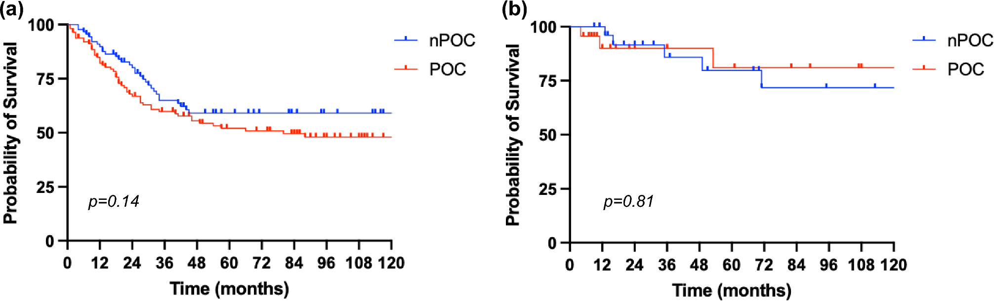 Survival prognostic impact of post-surgical complications in gastric cancer patients after neoadjuvant chemotherapy: a single western center analysis