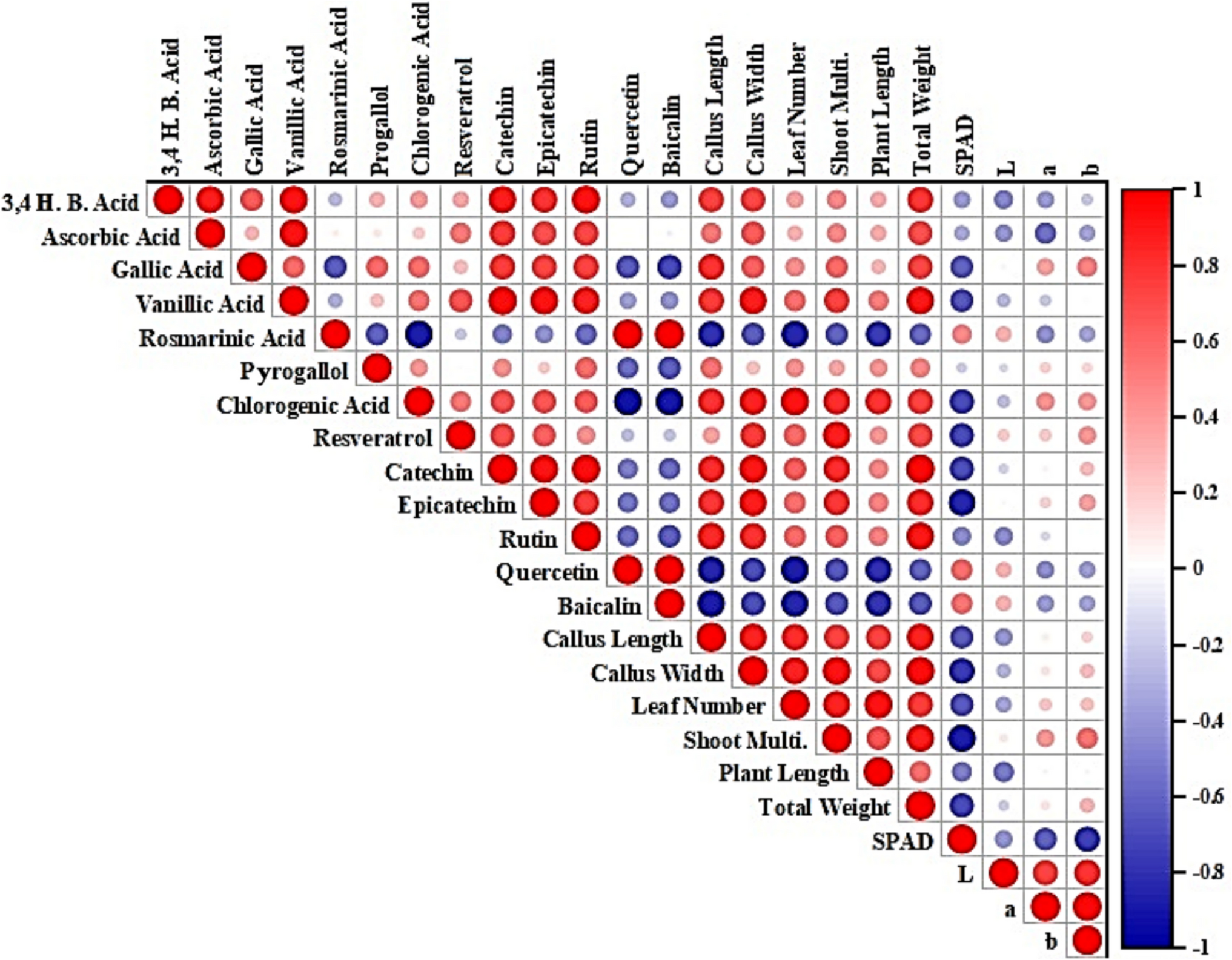 Effects of different culture media and Fe-EDDHA applications on the  propagation of chestnut and its biochemical profiles