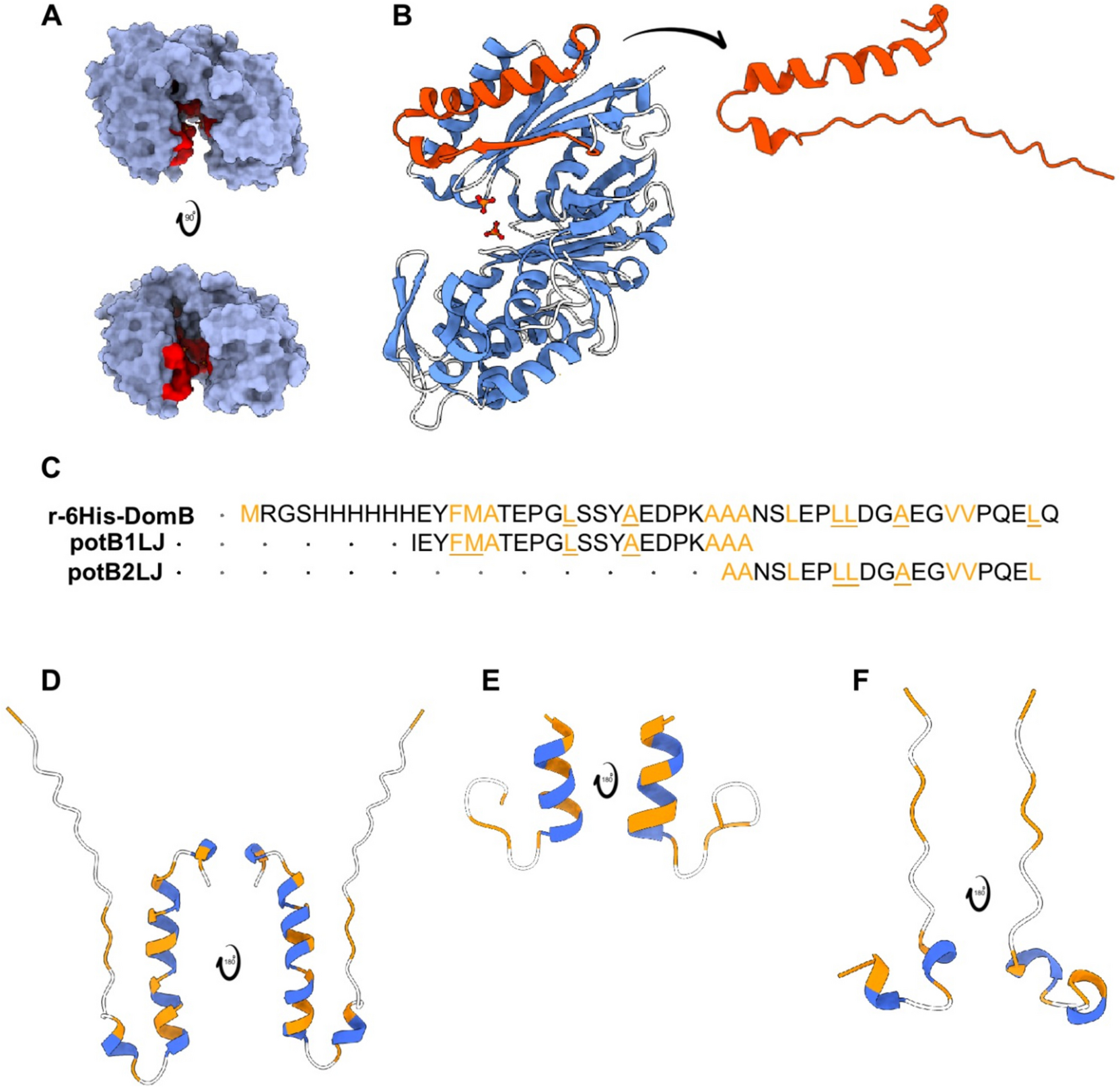 Activation of  Domin against  phytopathogen by recombinant and synthetic peptides derived from the potato apyrase B-domain