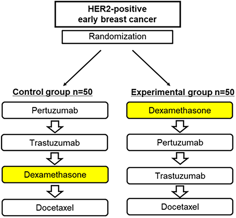 Impact of modified dexamethasone administration sequence on infusion reaction incidence in HER2-positive breast cancer: a randomized multicenter trial