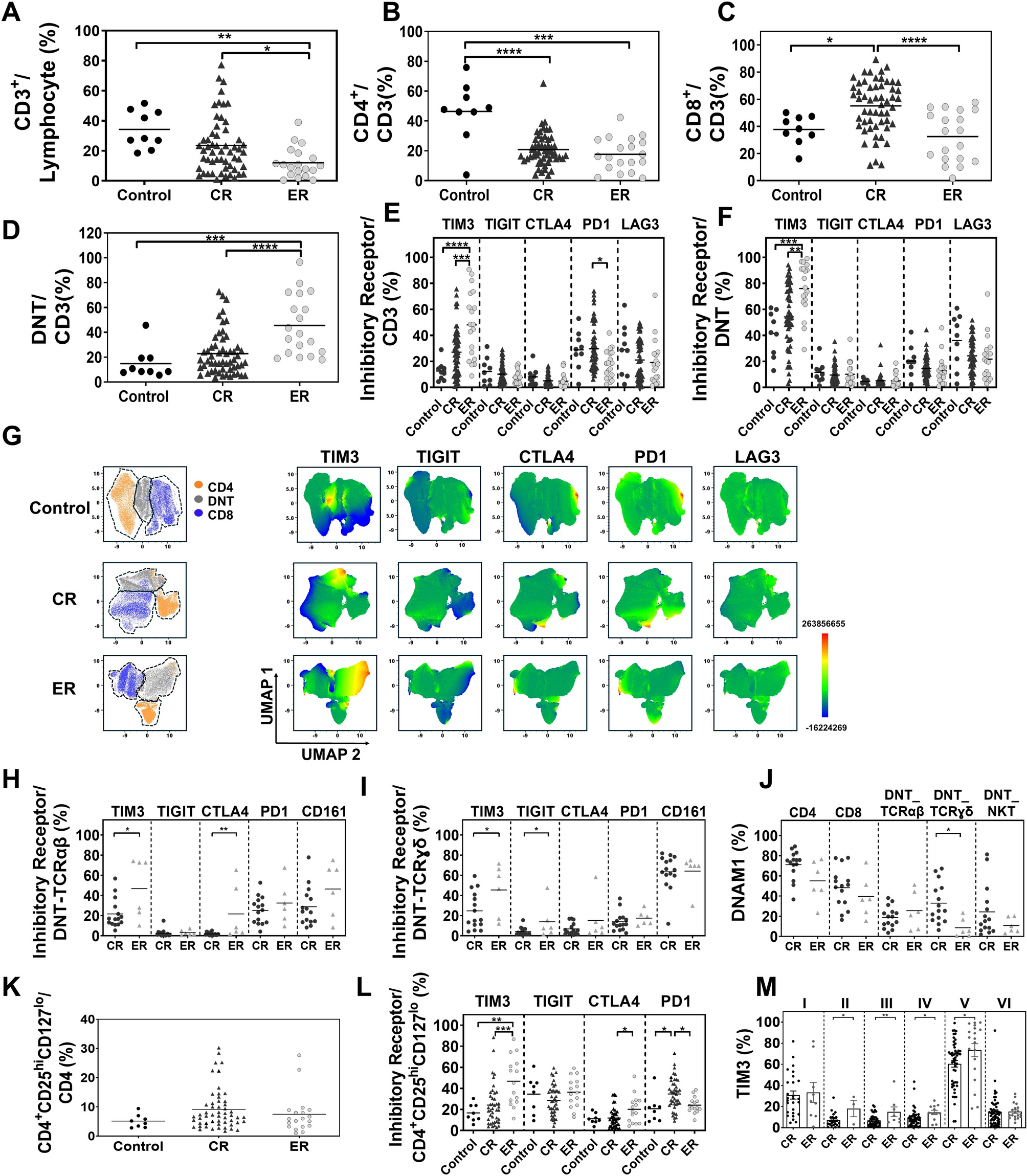 Elevated TIM3 expression on bone marrow T cells drives immune dysfunction in early relapsed blood cancer after allogeneic hematopoietic stem cell transplantation