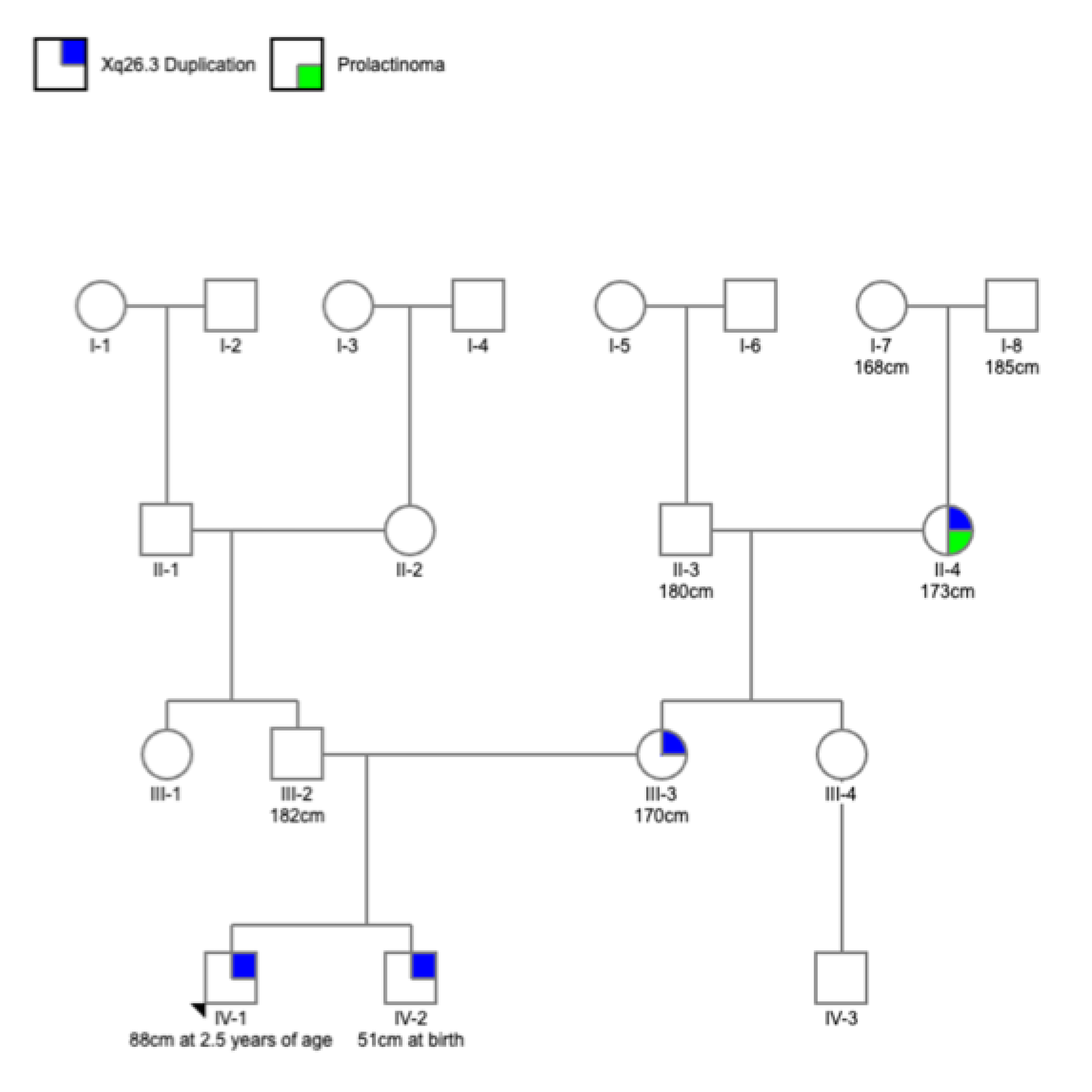 Non-penetrant Xq26.3 duplication involving the invariant TAD border: clinical evidence for the  region as the  pituitary enhancer of X-linked acrogigantism