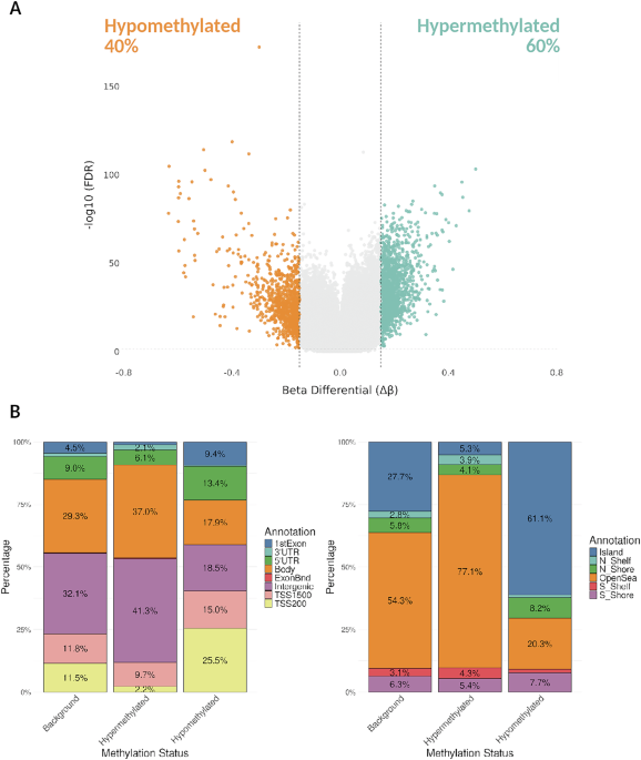Unraveling the molecular landscape of Erdheim–Chester disease: new insights from methylome and transcriptome integration