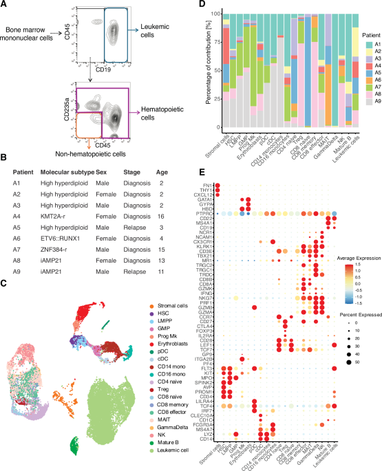 Distinct stromal cell populations define the B-cell acute lymphoblastic leukemia microenvironment