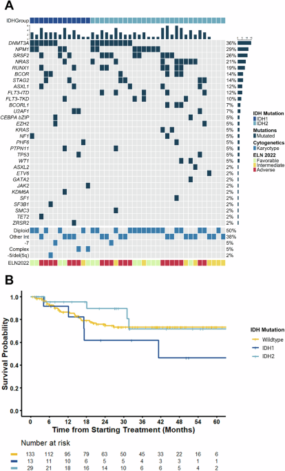 Outcomes of adult patients with newly diagnosed IDH-mutated AML treated with intensive chemotherapy and venetoclax