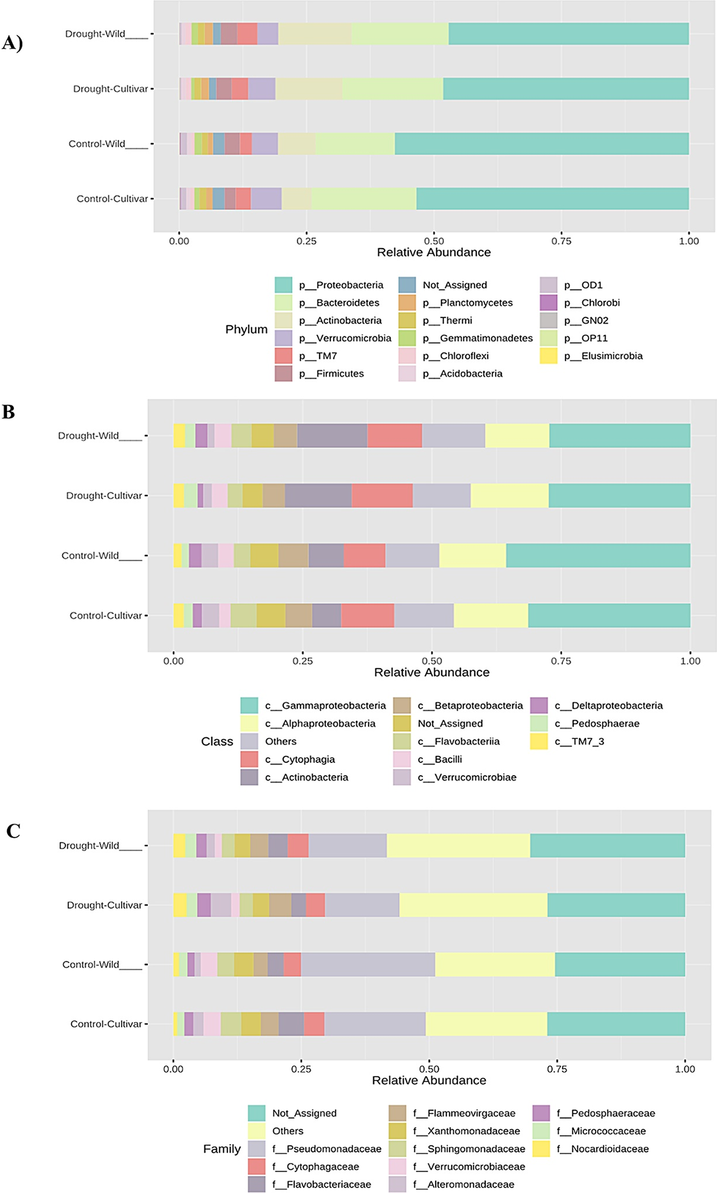 Metagenomic insight into drought-induced changes in the Egyptian wheat rhizosphere microbiome