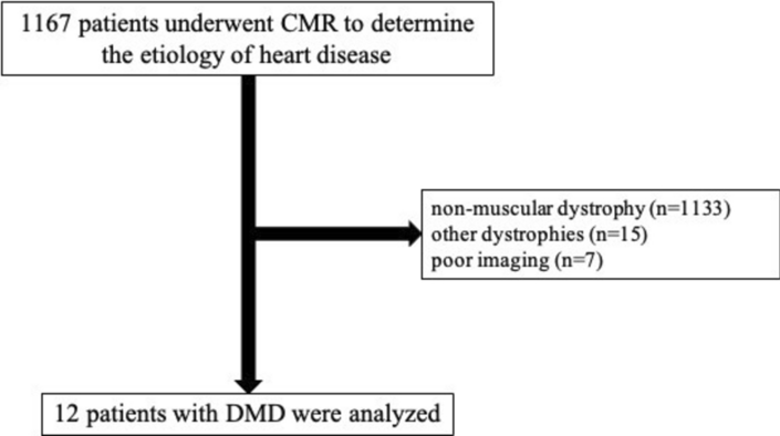 Myocardial injury in Duchenne muscular dystrophy: assessment via cardiac magnetic resonance intra-voxel incoherent motion