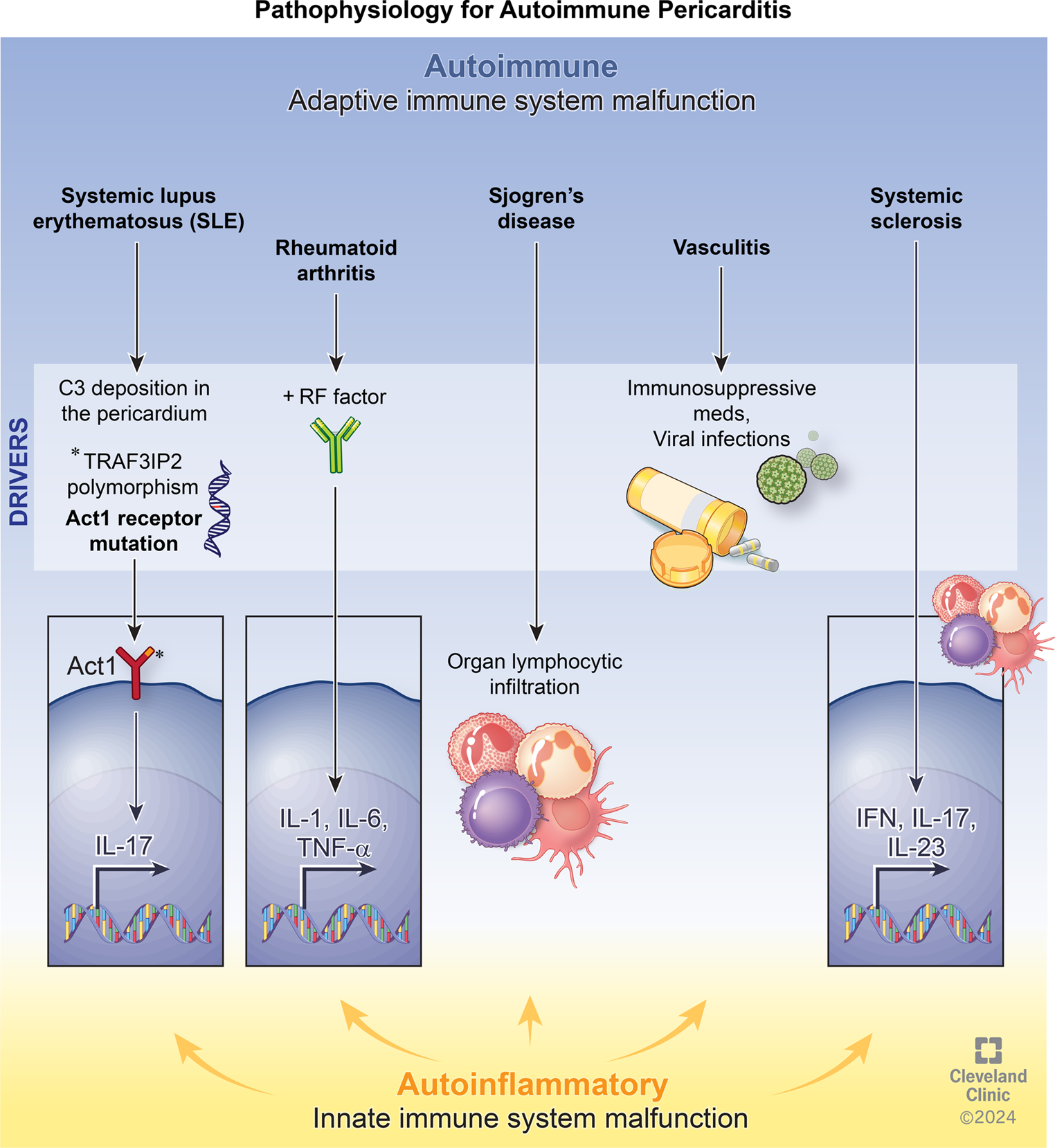 Autoimmune Pericarditis: Diagnosis and New Therapeutics