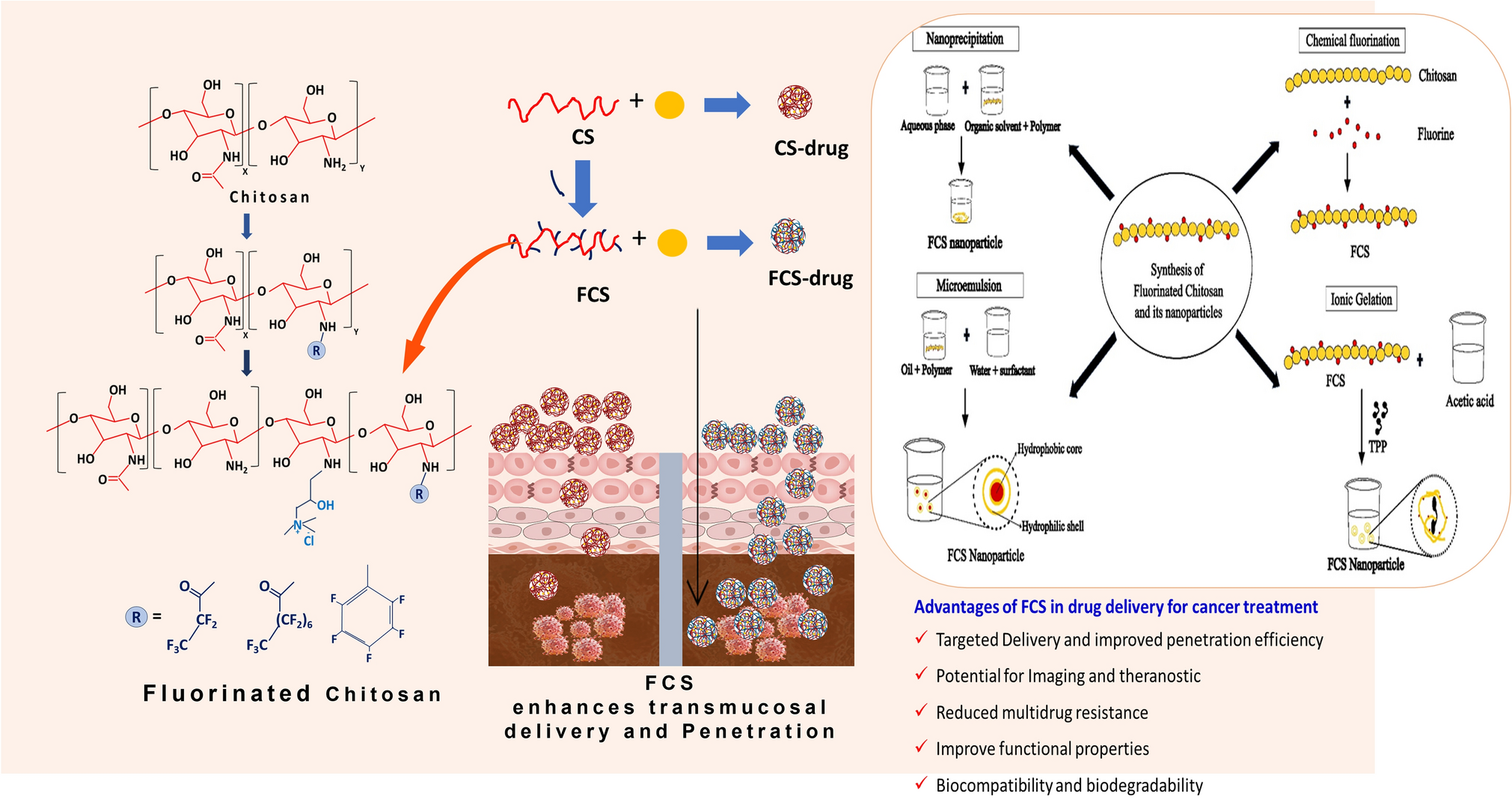 Advances in cancer therapy using fluorinated chitosan: a promising nanoplatform for drug delivery