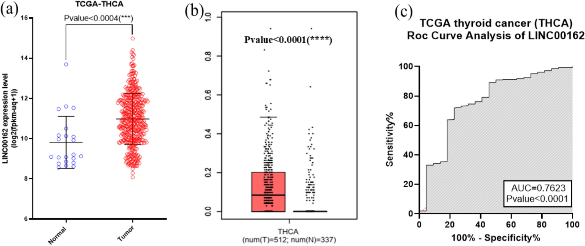A novel long non-coding RNA, PICSAR, promotes thyroid cancer progression through the hsa-miR-320A/hsa-miR-485/RAPGEFL1 axis