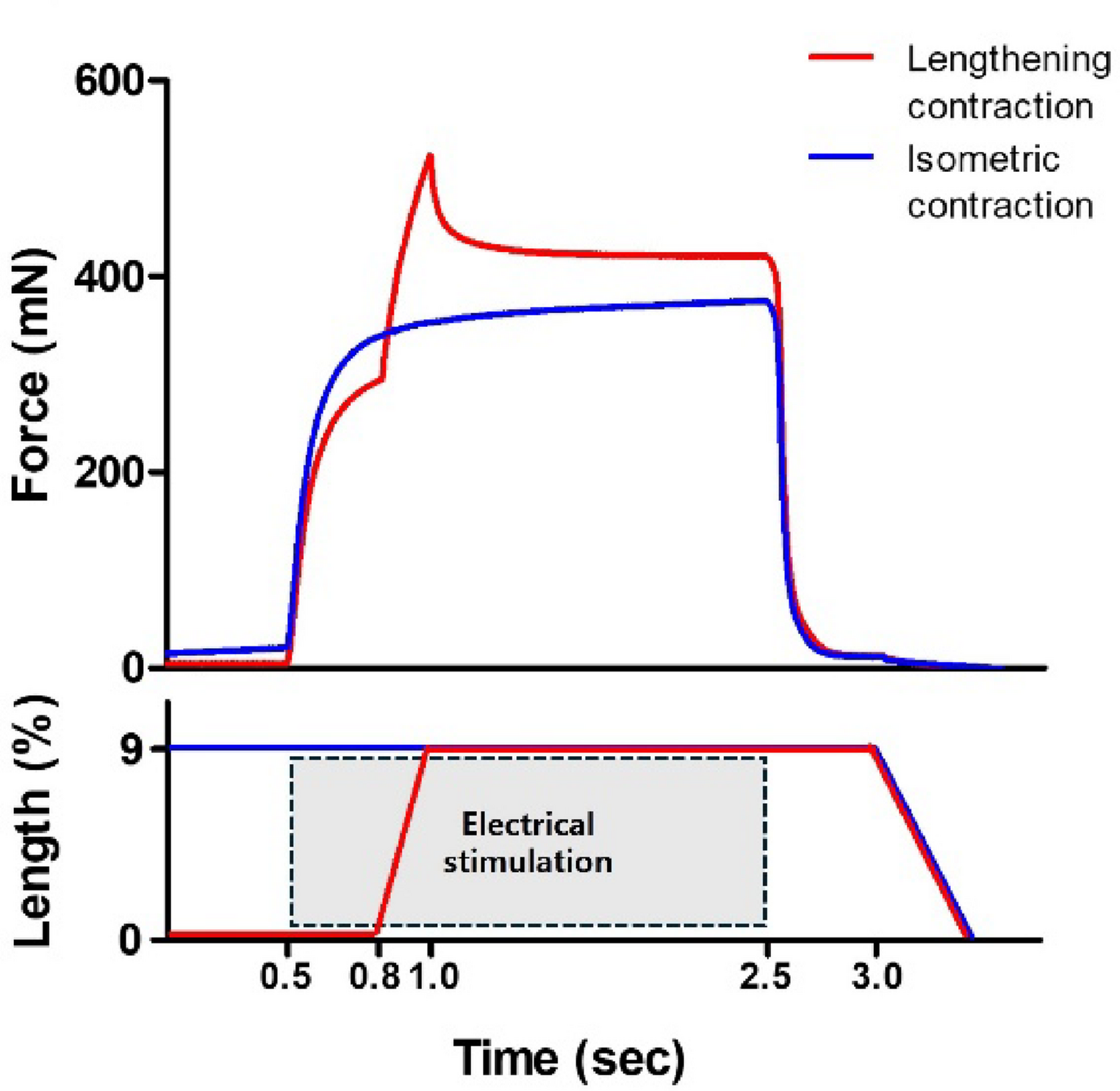 Residual force enhancement following hindlimb unloading and exercise prehabilitation