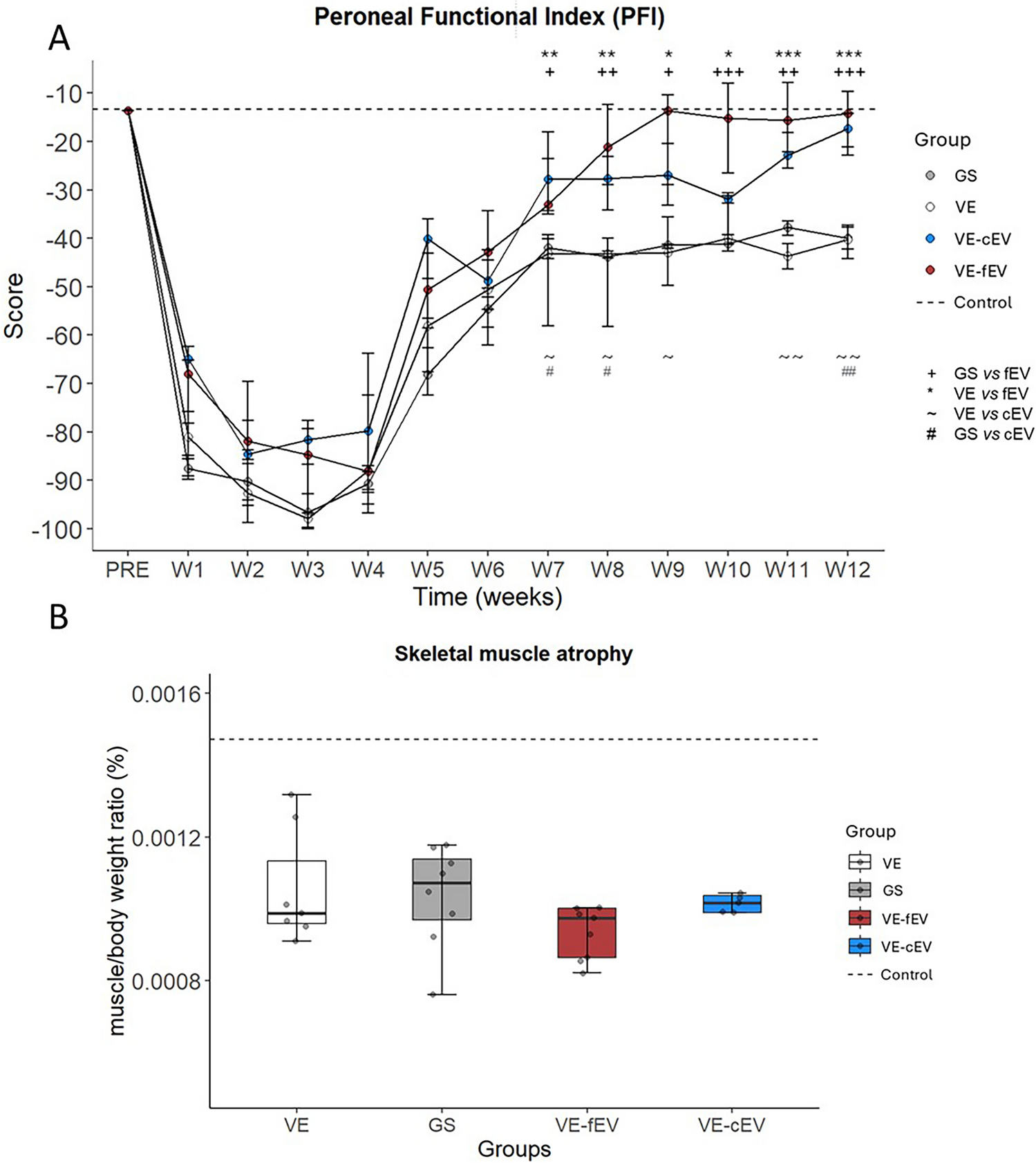 Human Nasal Olfactory Stem Cell-Derived Extracellular Vesicles Improve the Repair of Rat Nerves