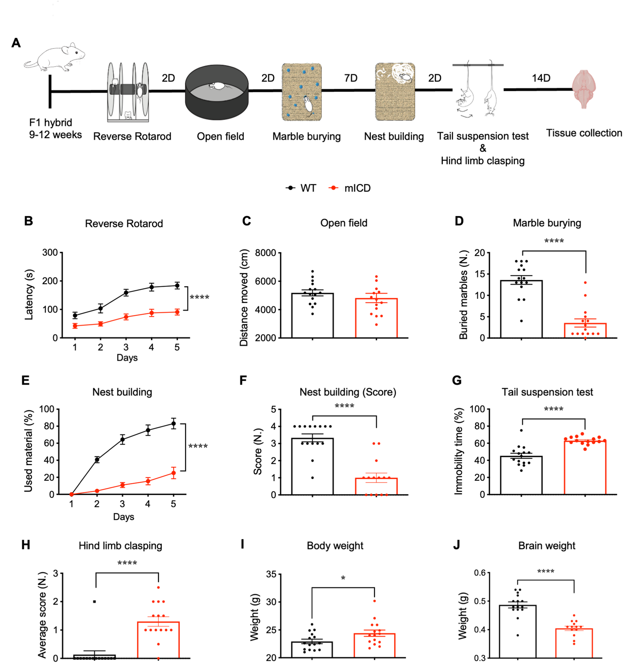 UBE3A reinstatement restores behaviorand proteome in an Angelman syndrome mouse model of imprinting defects