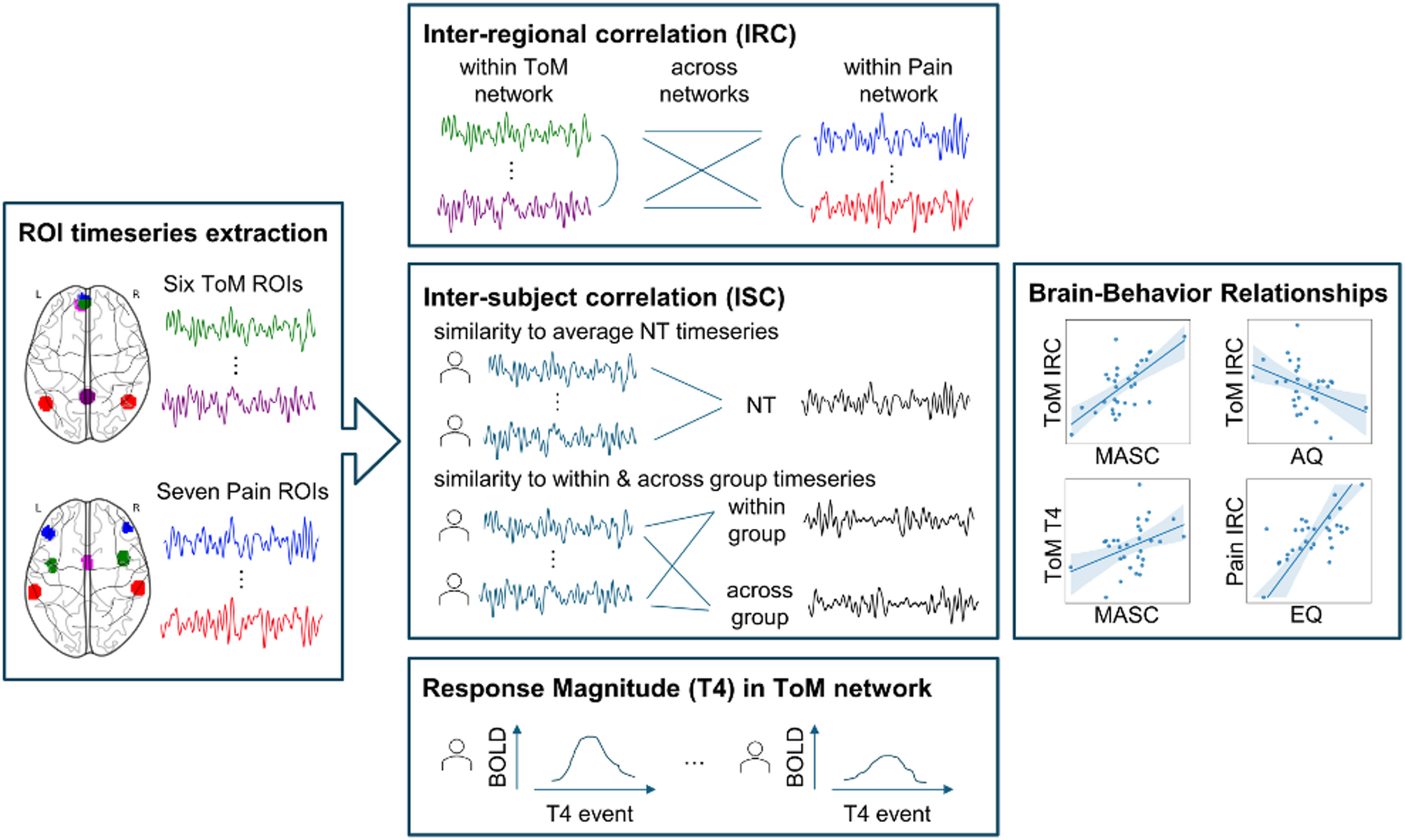 Social inference brain networks in autistic adults during movie-viewing: functional specialization and heterogeneity