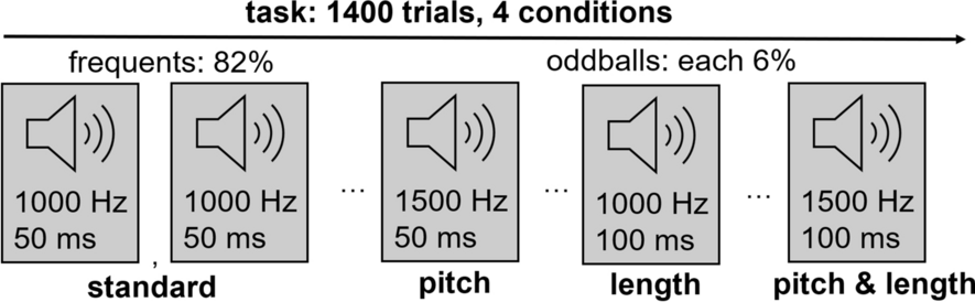 Locus coeruleus tonic upregulation increases selectivity to inconspicuous auditory information in autistic compared to non-autistic individuals: a combined pupillometry and electroencephalography study
