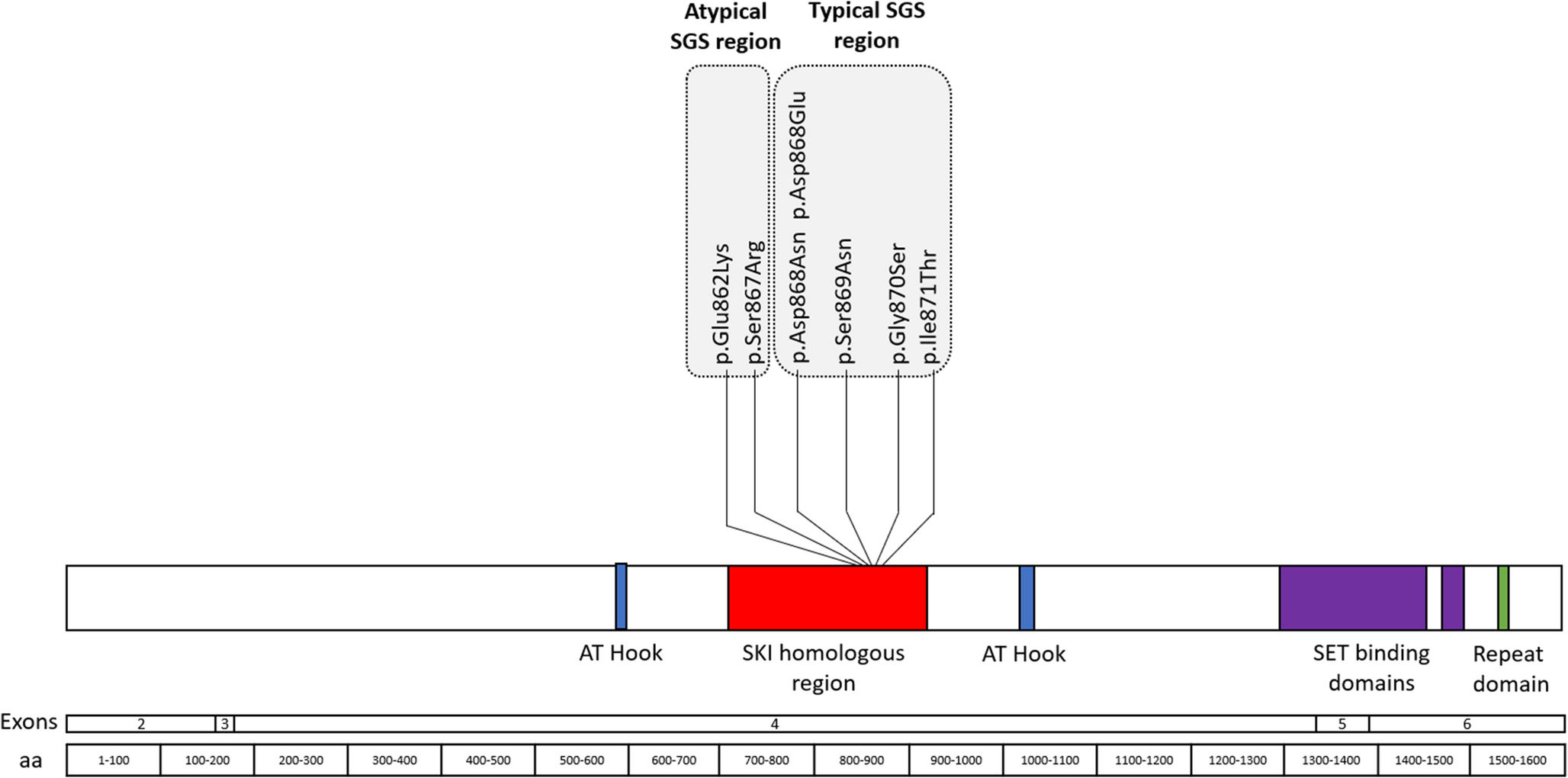 Schinzel-Giedion syndrome: communication, feeding and motor skills in 16 individuals