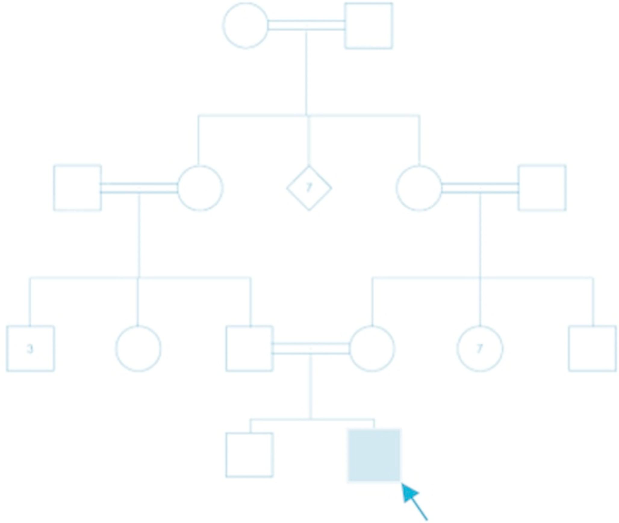 Charting the genetic landscape of autosomal recessive hereditary spastic paraplegia: A deep dive into 10 exceptionally rare cases